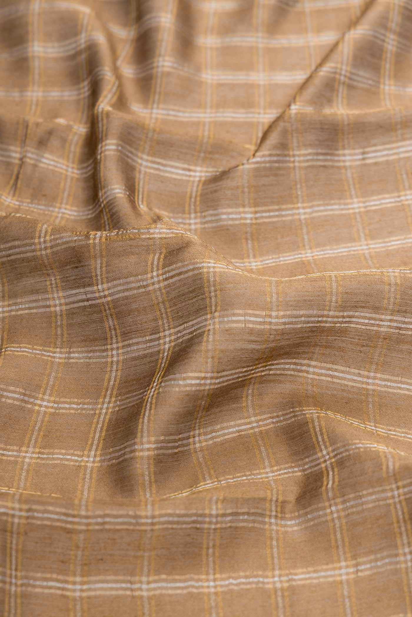 Dark Beige Dual Tone Tussar Silk Saree