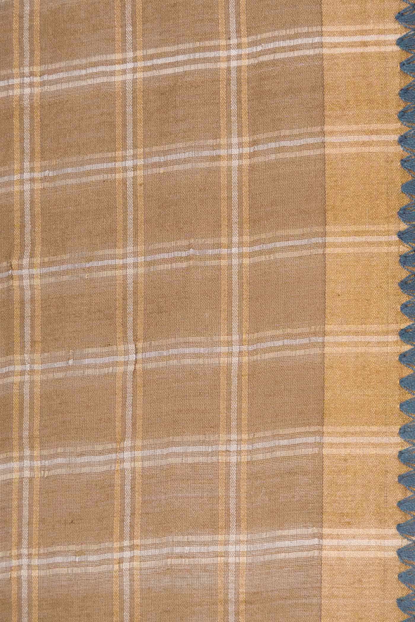 Beige Dual Tone Tussar Silk Saree