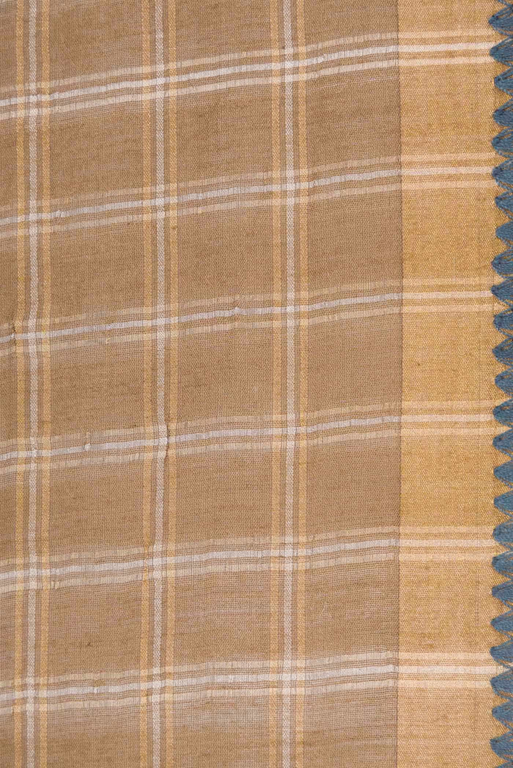 Beige Dual Tone Tussar Silk Saree