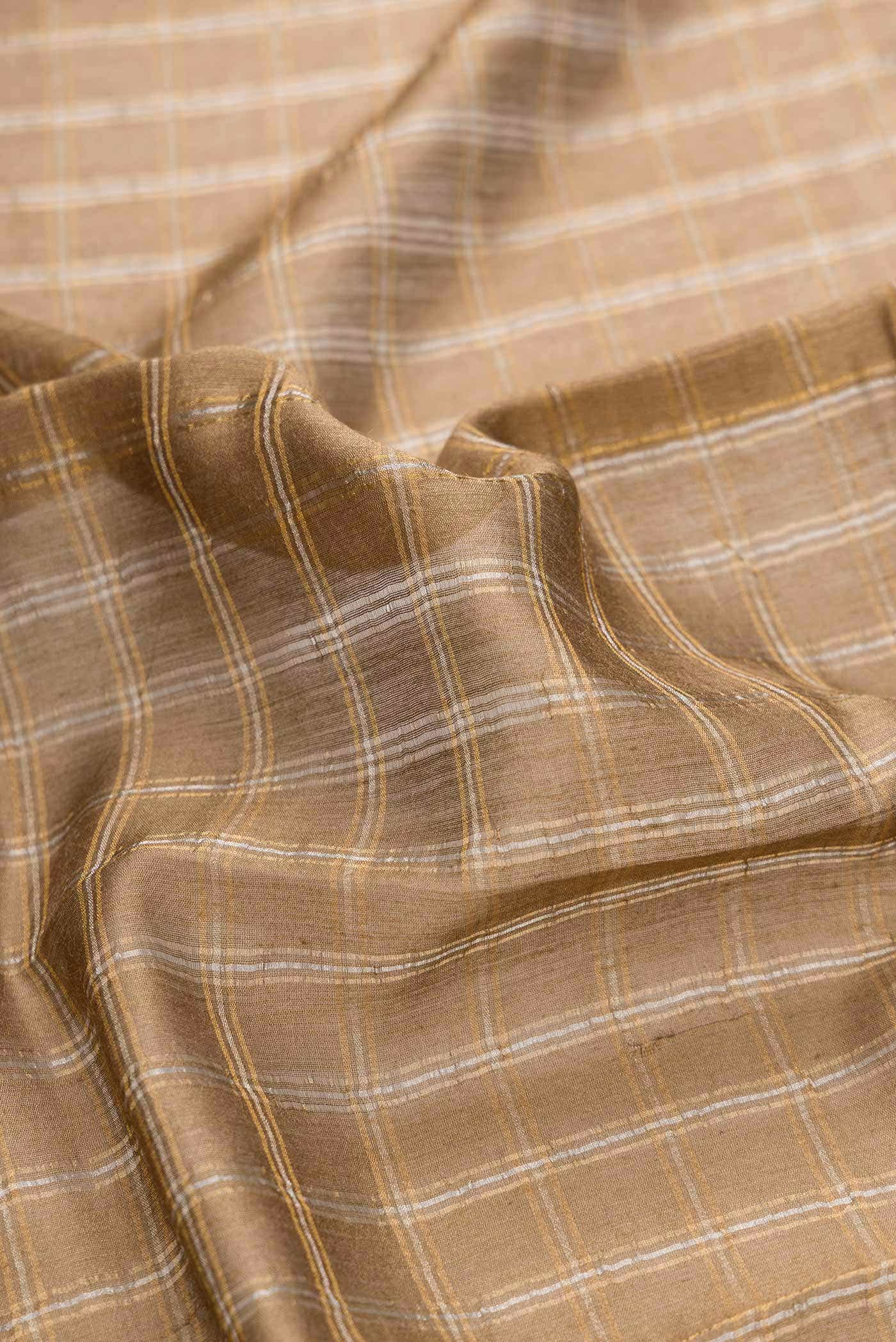 Beige Dual Tone Tussar Silk Saree