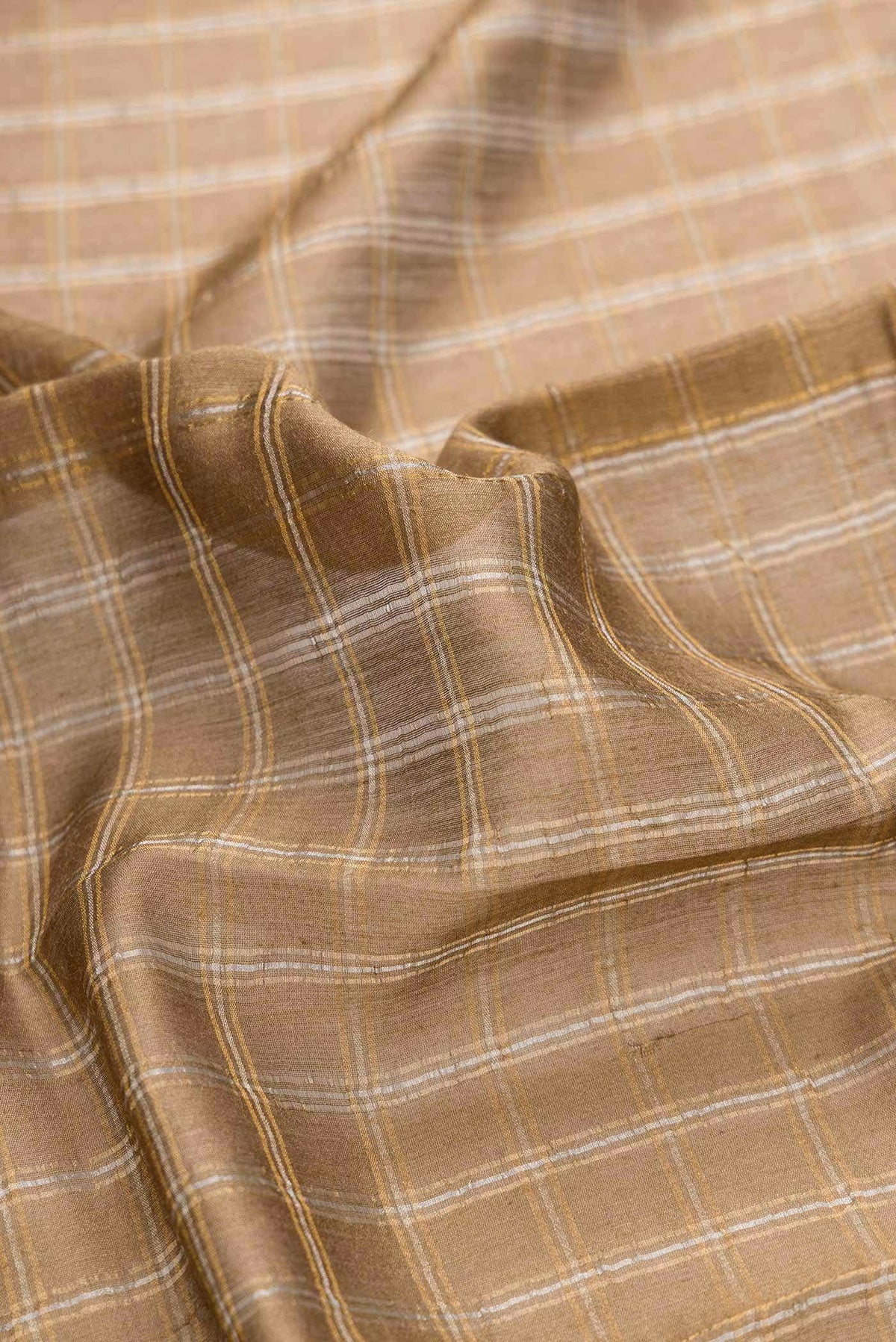 Beige Dual Tone Tussar Silk Saree
