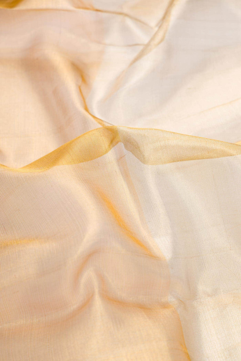 Gold and Silver Dual Tone Kanchipuram Tissue Silk Saree
