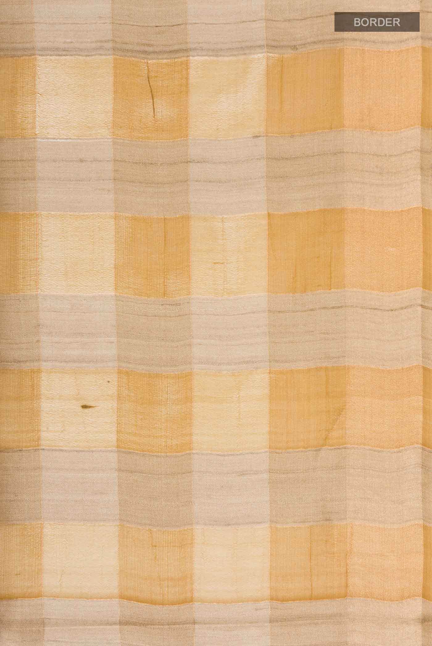 Beige Tussar Silk Saree
