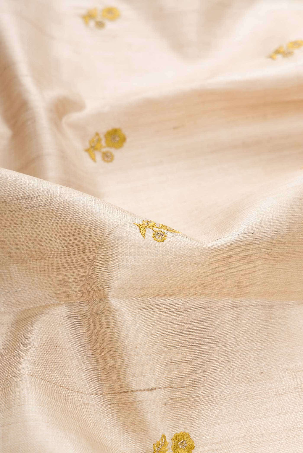 Beige Tussar Silk Saree