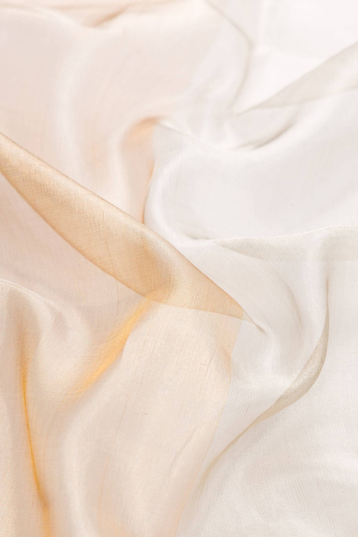 Gold and Silver Dual Tone Kanchipuram Tissue Silk Saree
