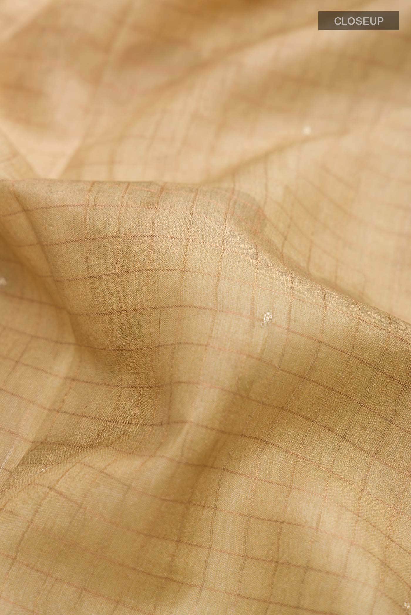 Beige Tussar Silk Saree