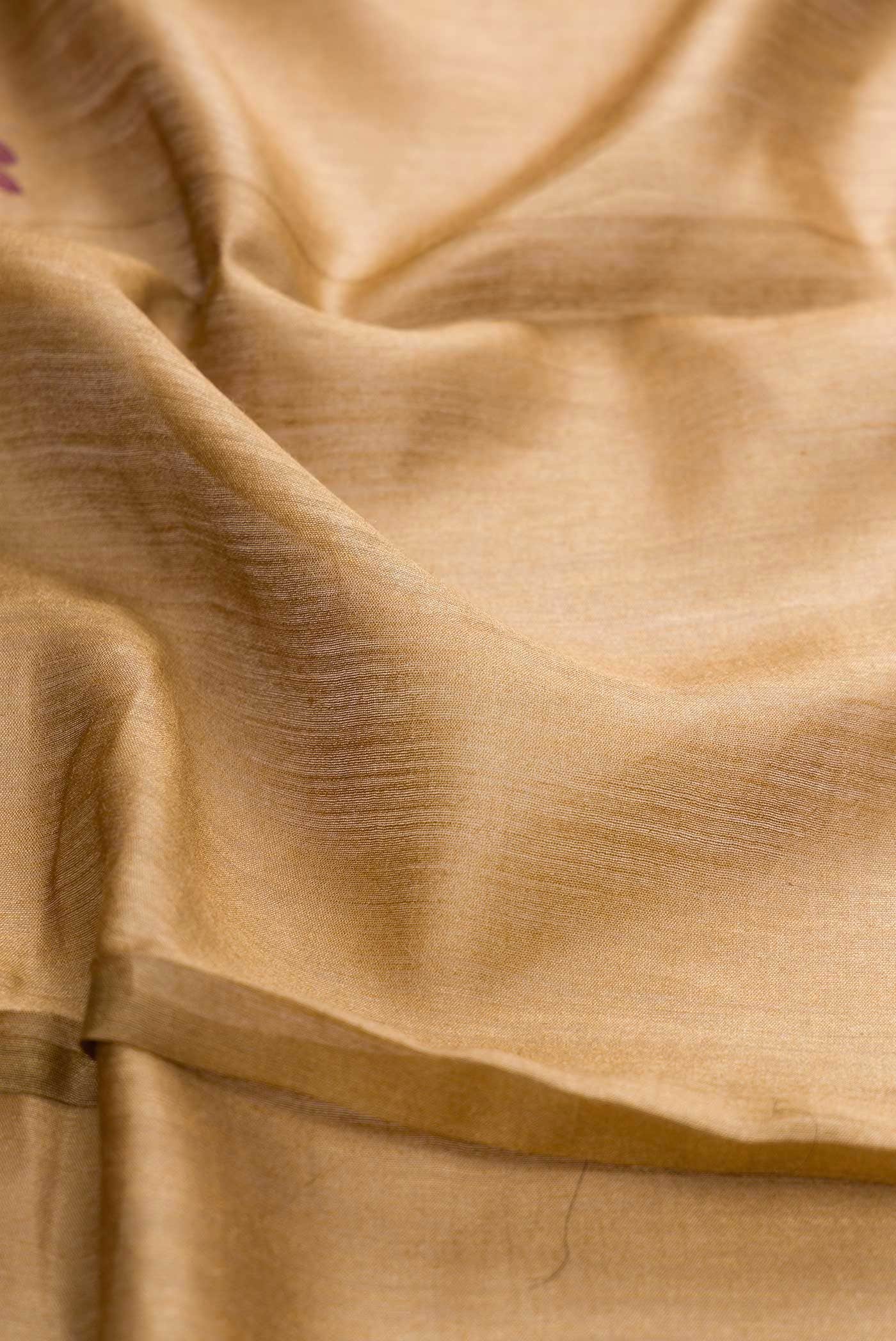 Beige Dual Tone Tussar Silk Saree