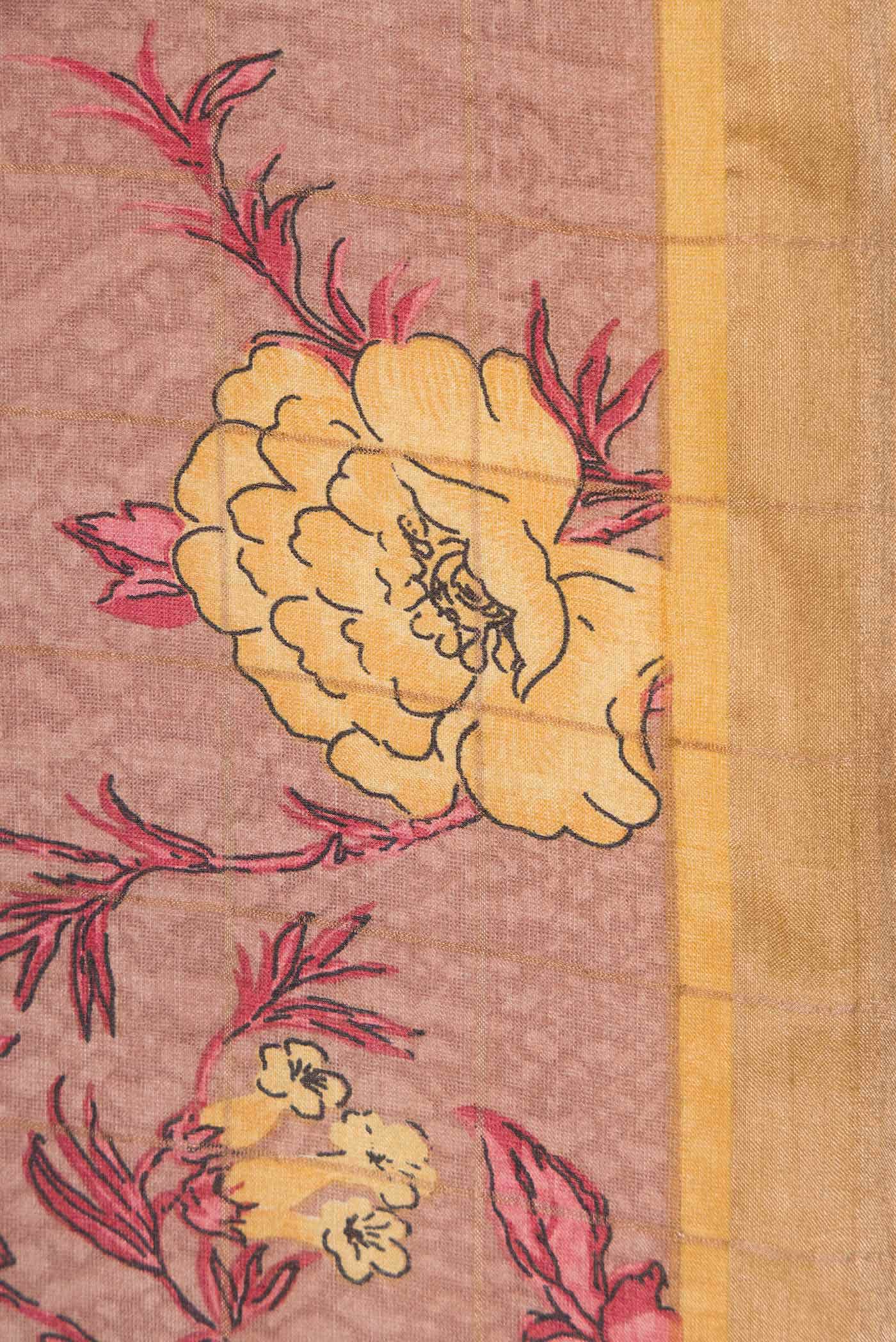 Brown Tussar Silk Saree