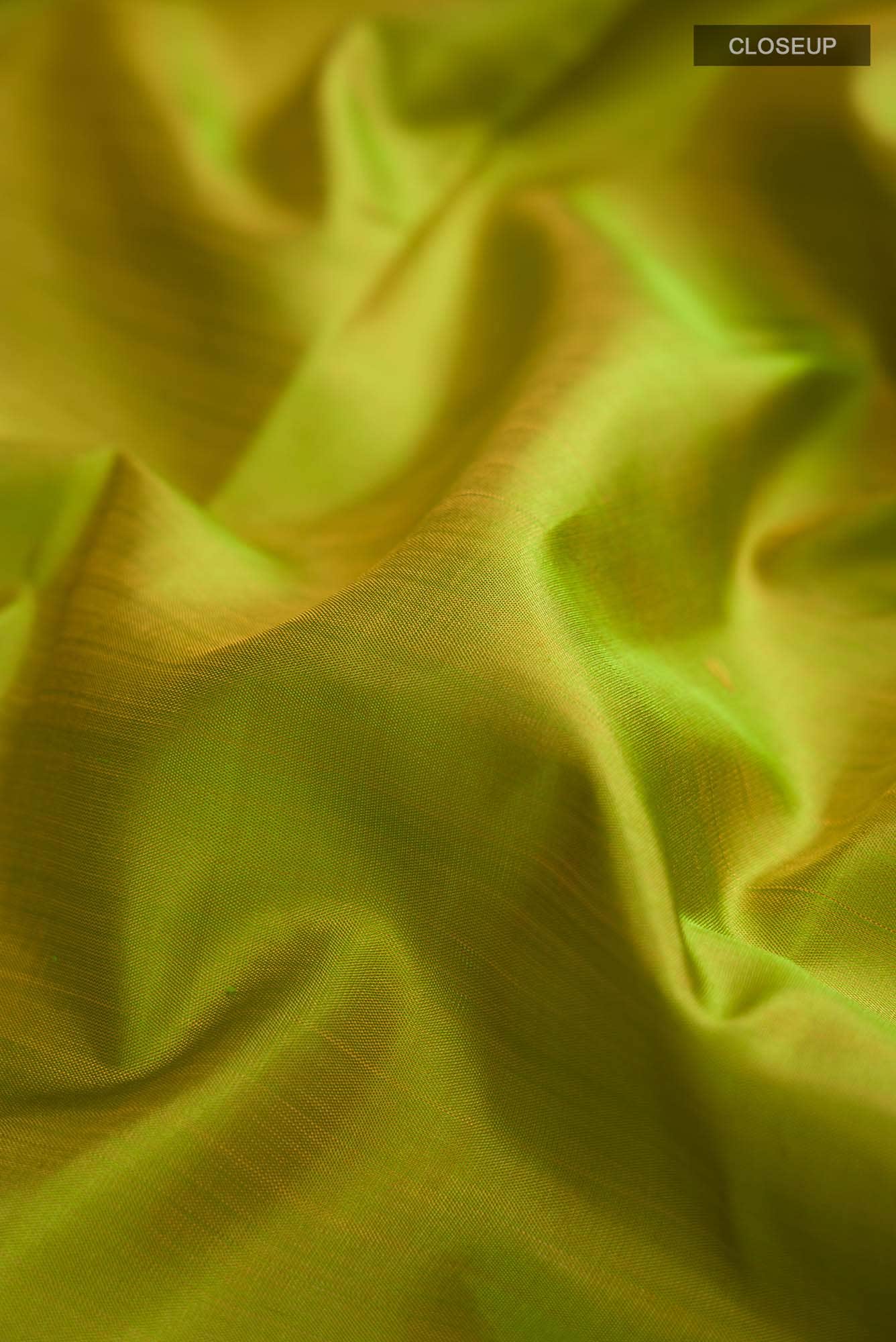 Green Kanchipuram Silk Saree