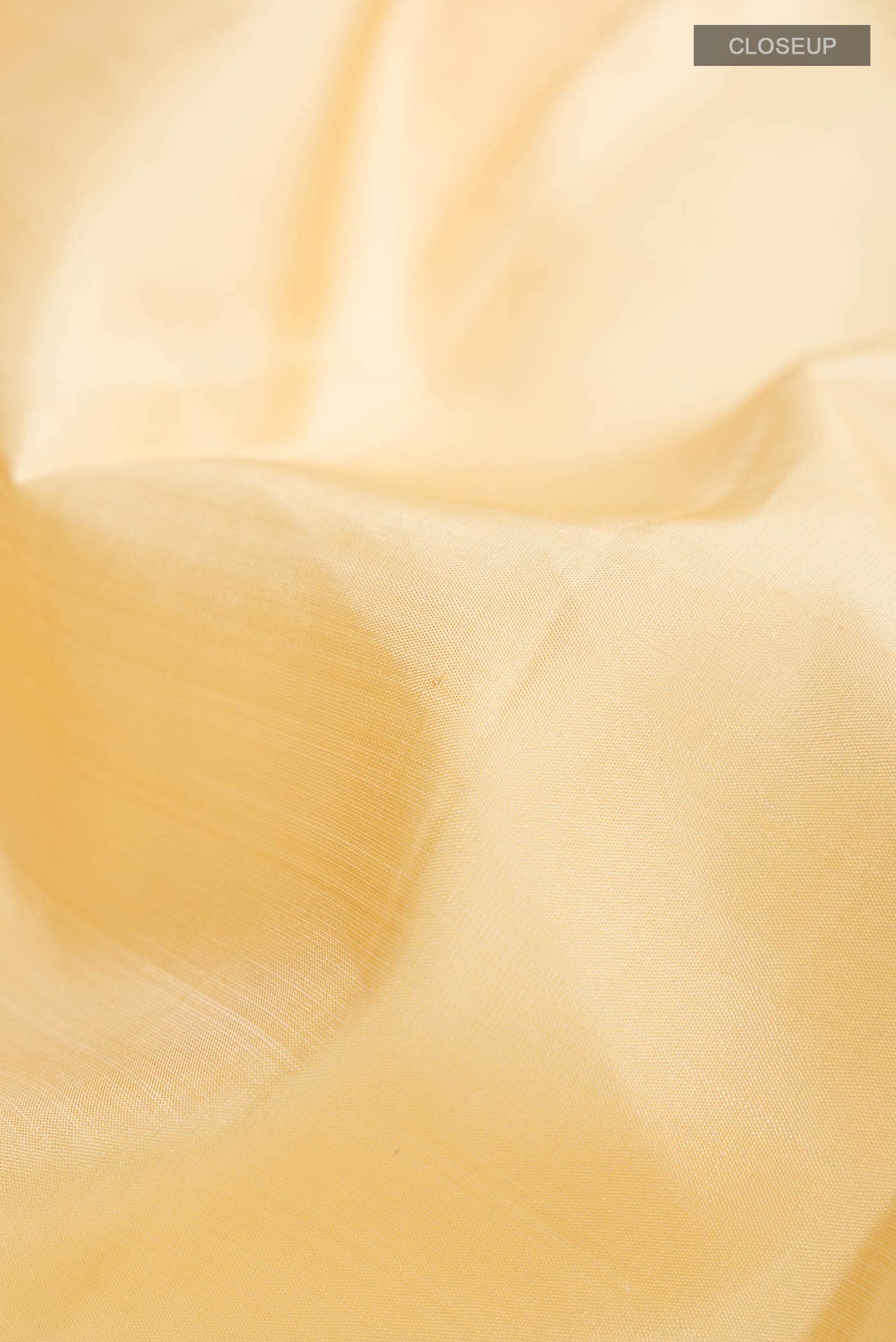 Beige Kanchipuram Silk Saree