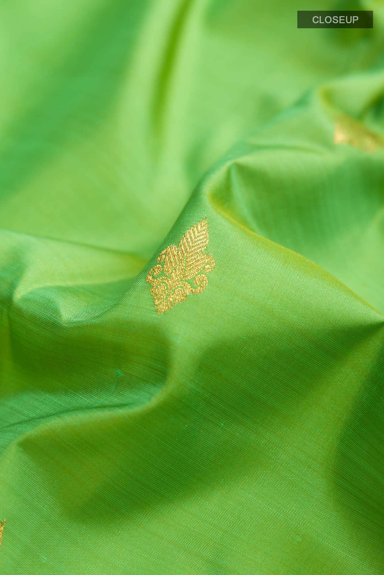 Parrot Green Kanchipuram Silk Saree