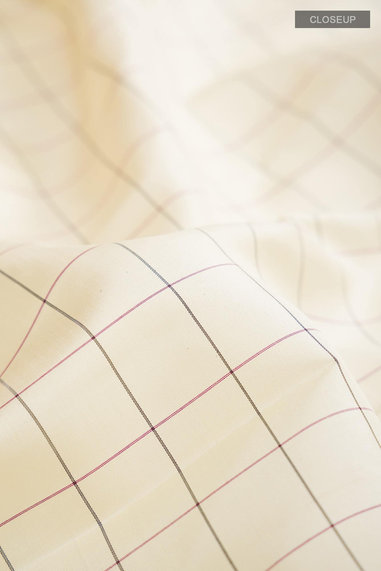 Cream Kanchipuram Silk Saree