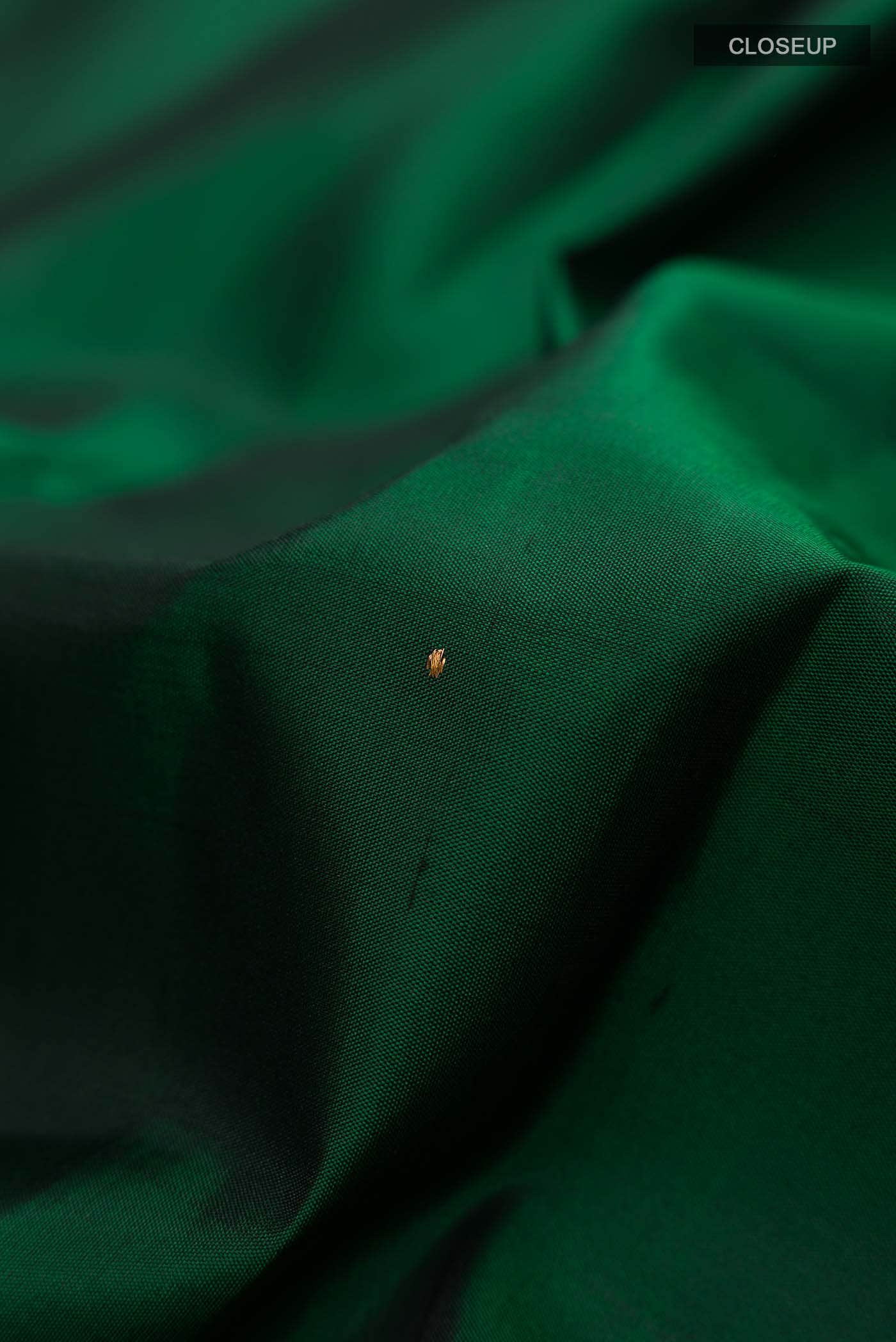 Green Kanchipuram Silk Saree