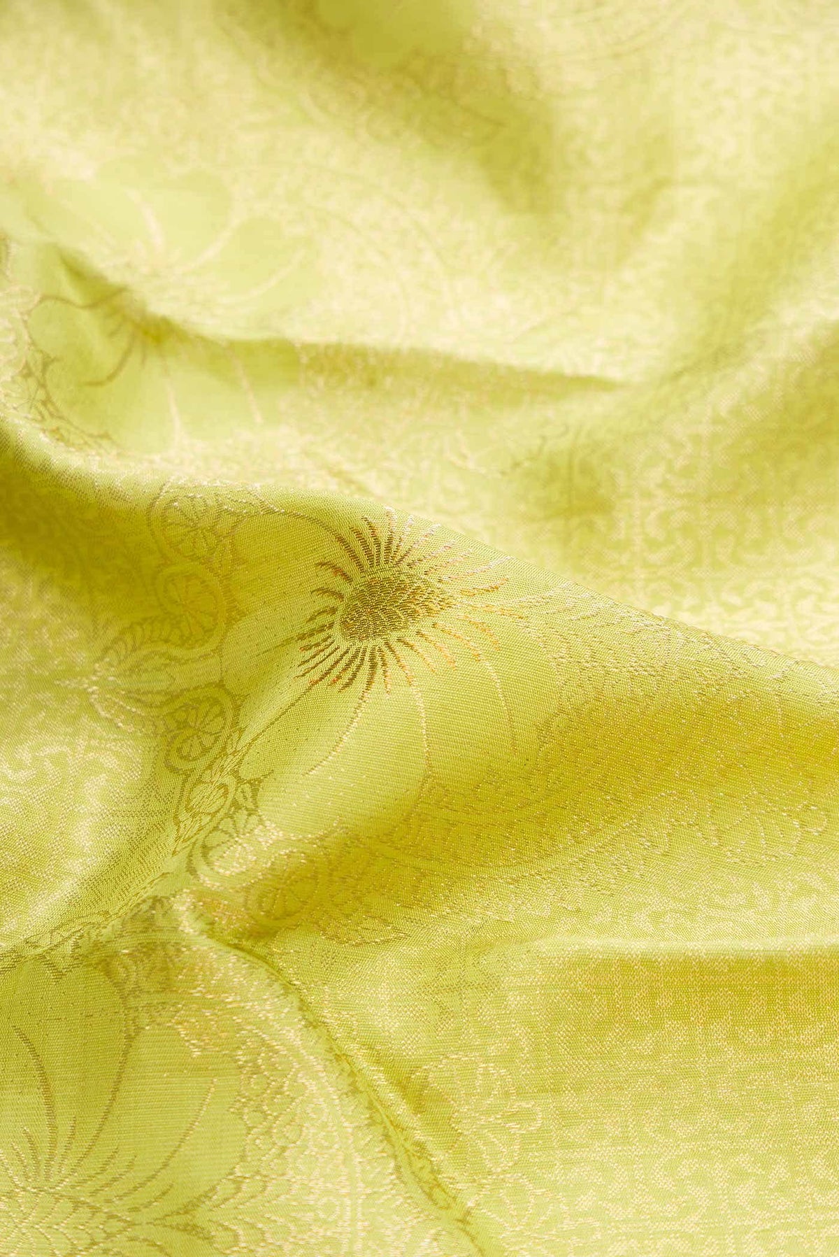 Parrot Green Dual Tone Kanjivaram Silk Saree