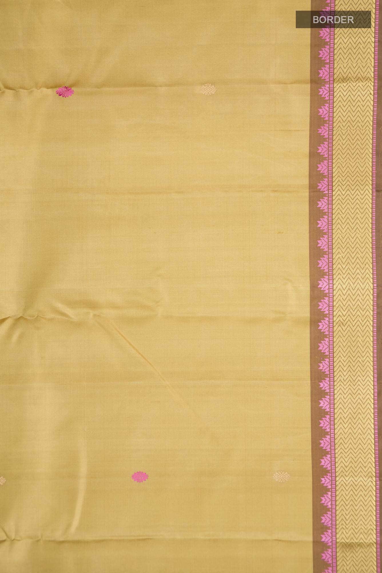 Beige Kanchipuram Silk Saree