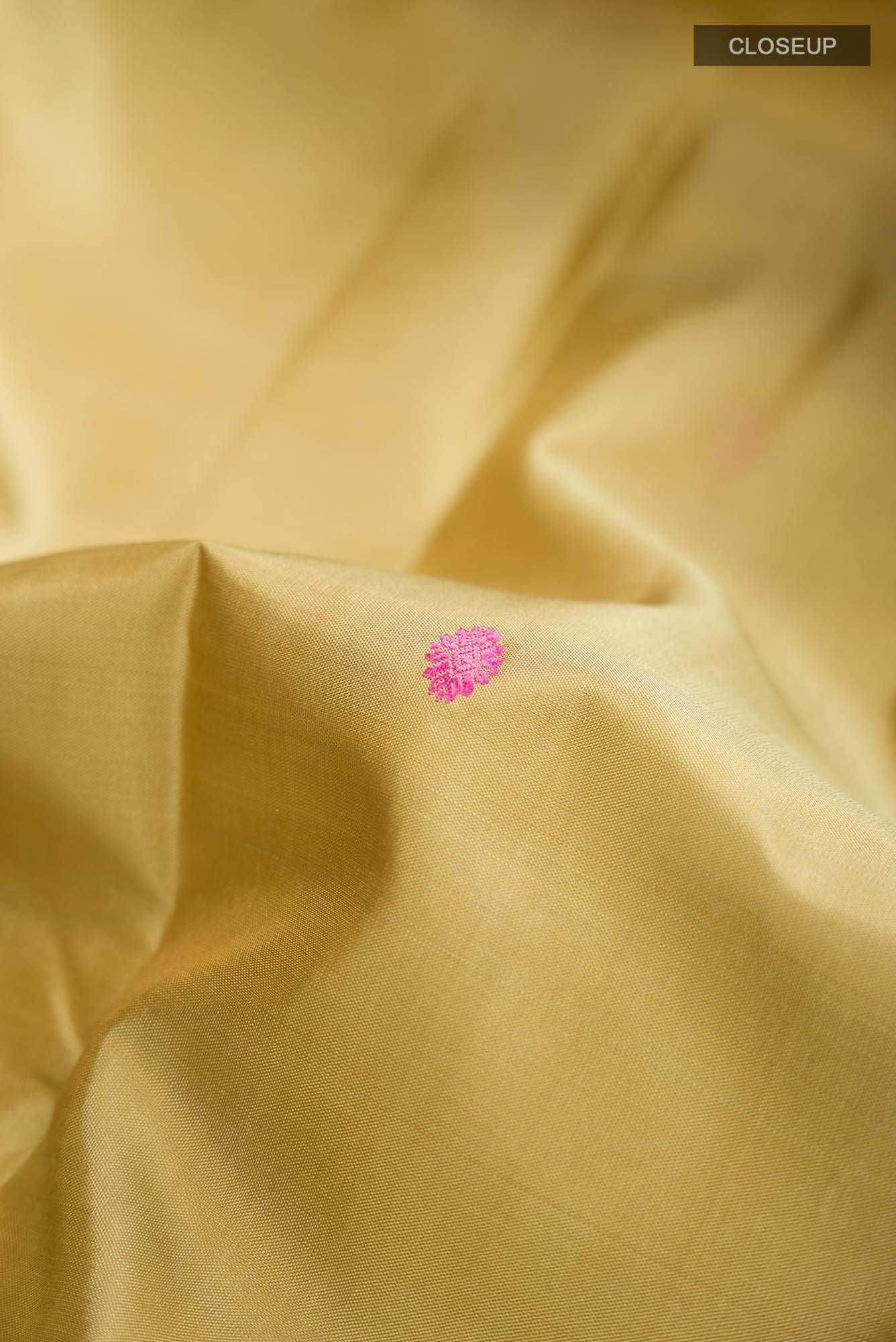 Beige Kanchipuram Silk Saree