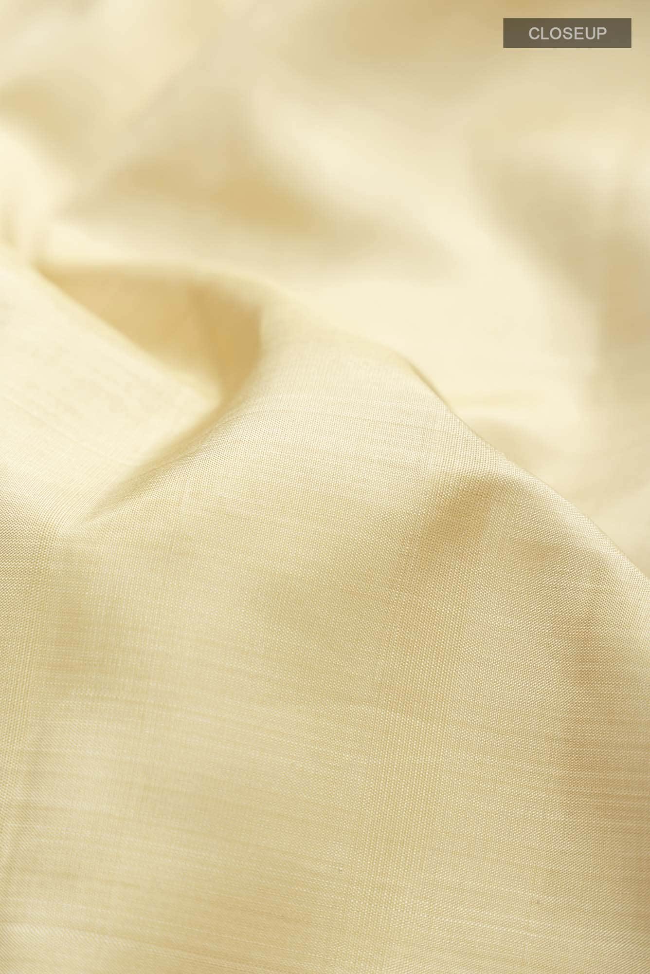 Beige Kanchipuram Silk Saree