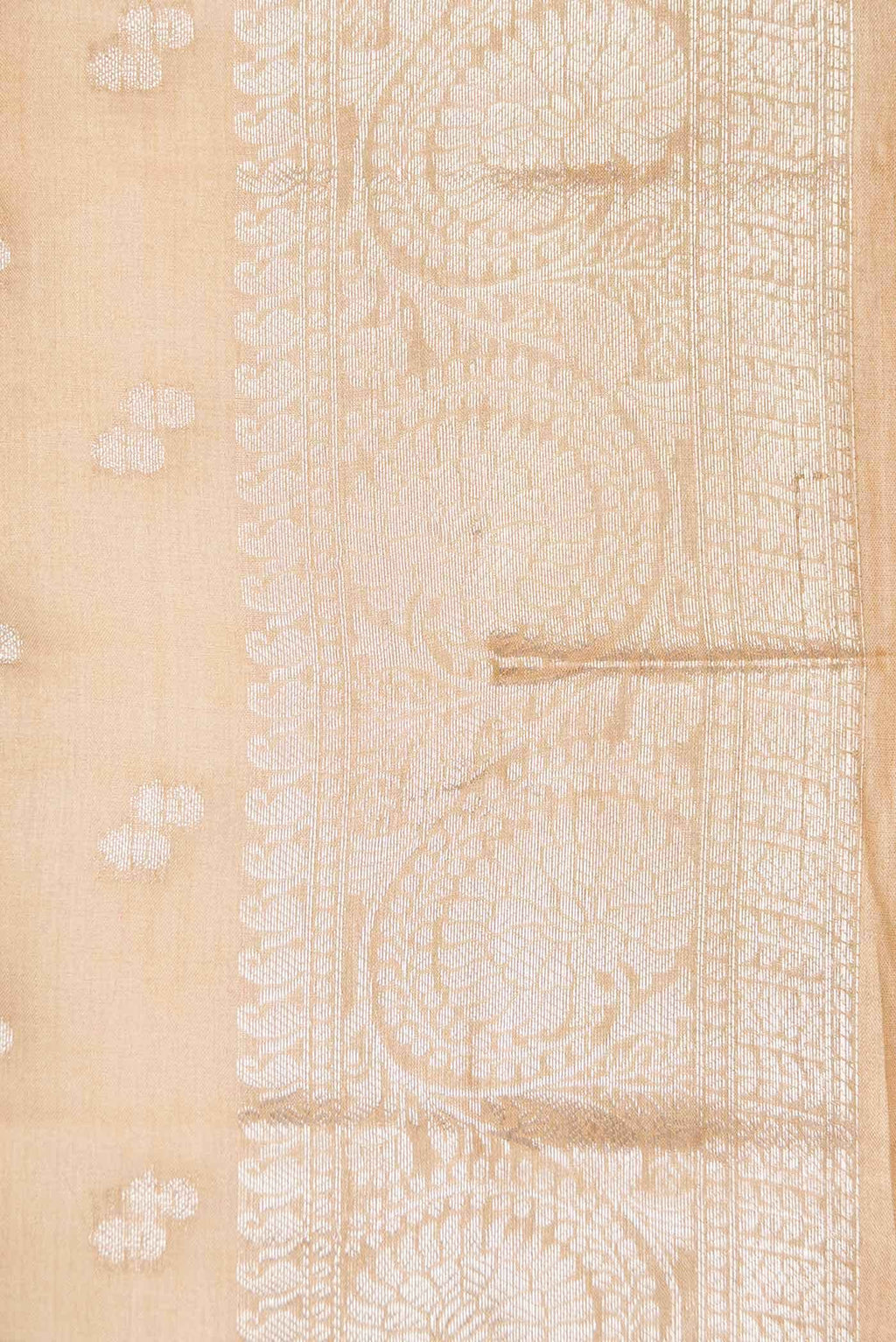 Beige Dual Tone Tussar Silk Saree
