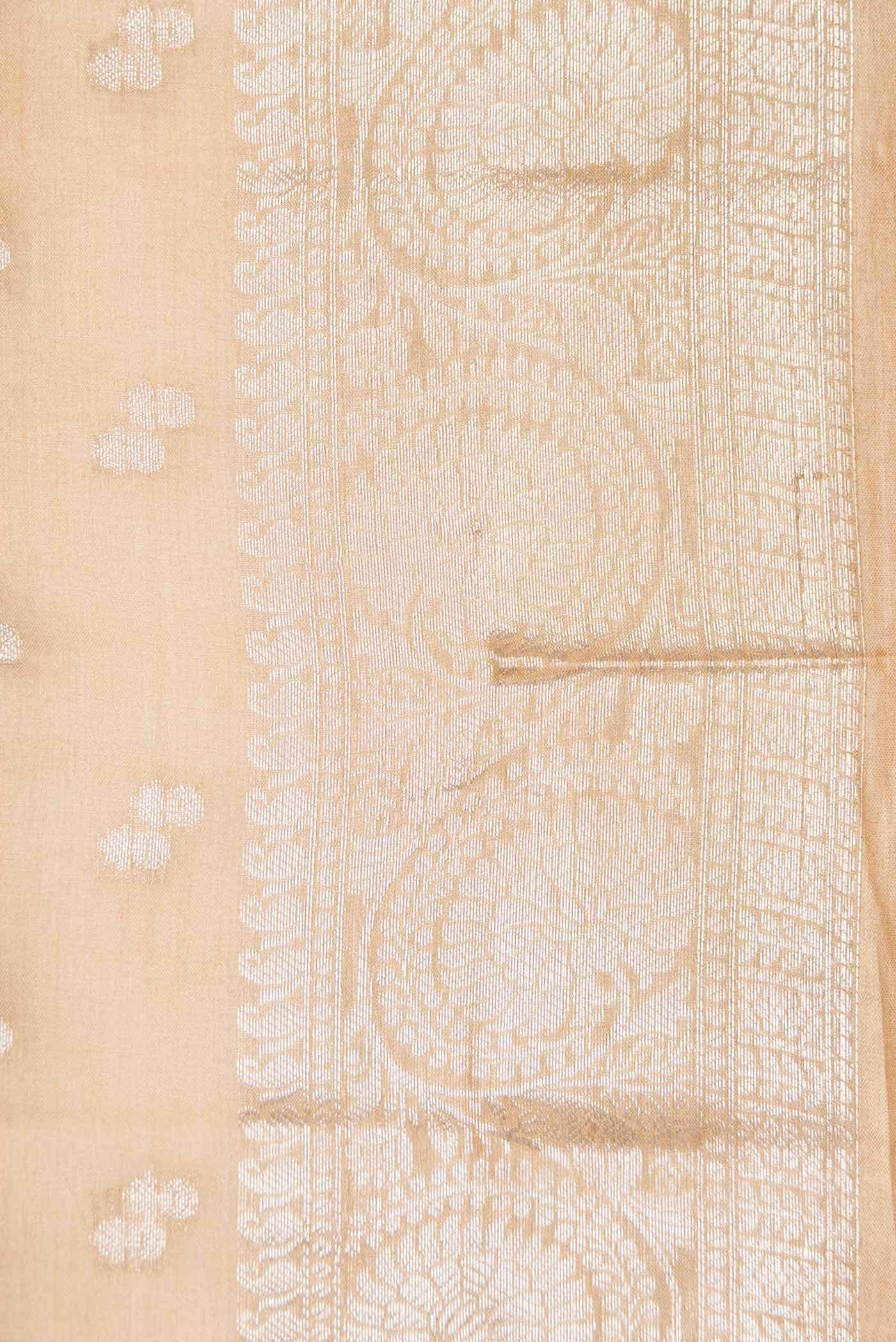 Beige Dual Tone Tussar Silk Saree