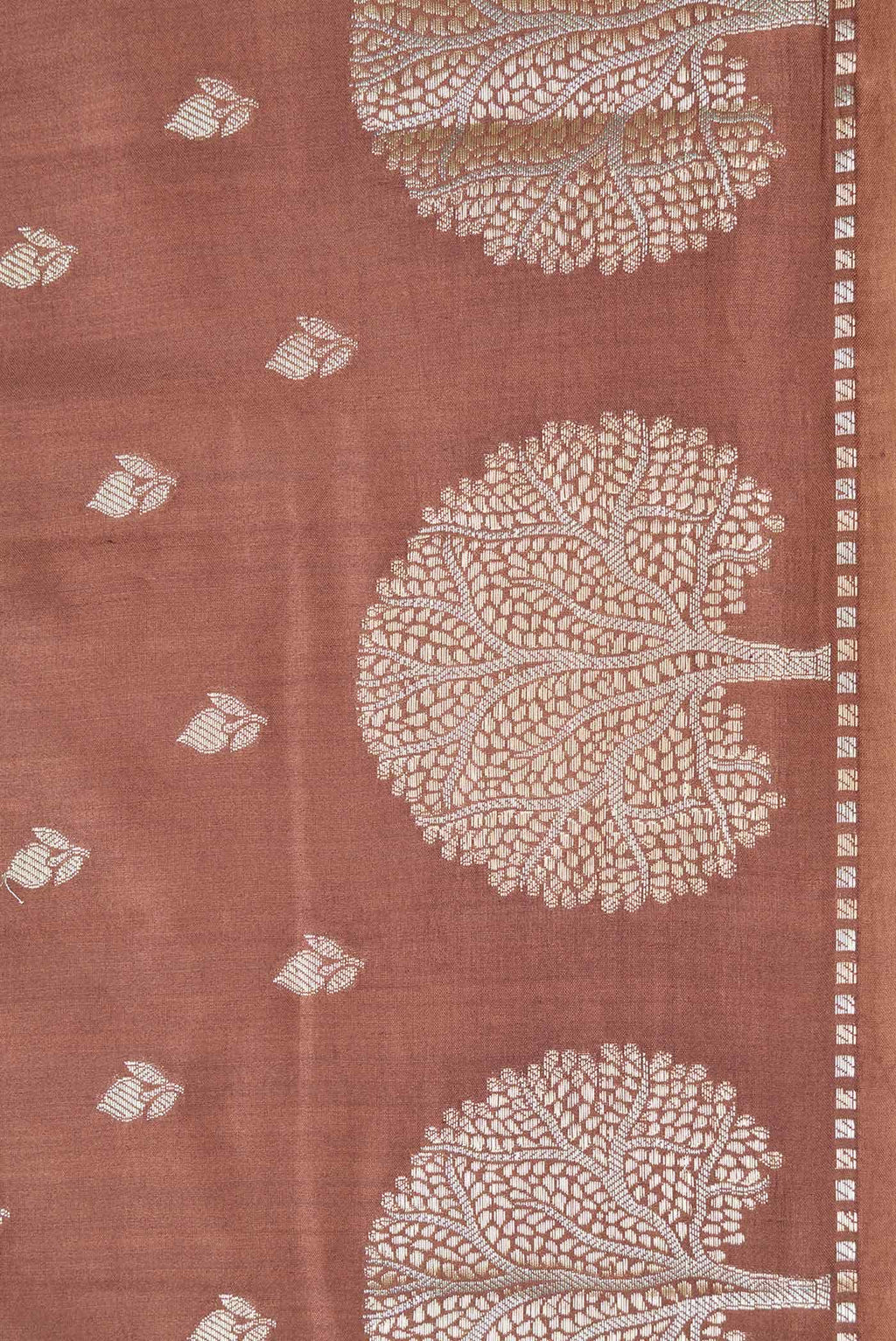 Brown Dual Tone Tussar Silk Saree