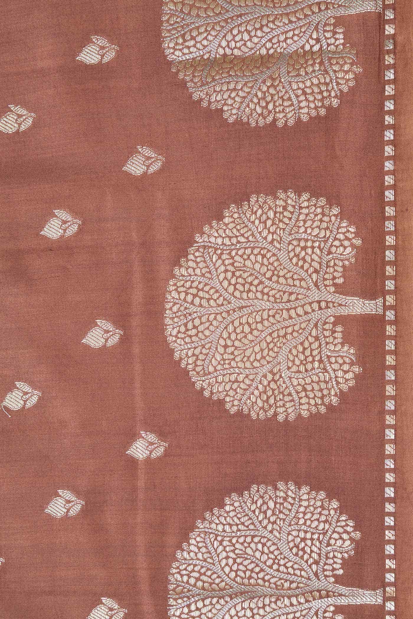 Brown Dual Tone Tussar Silk Saree