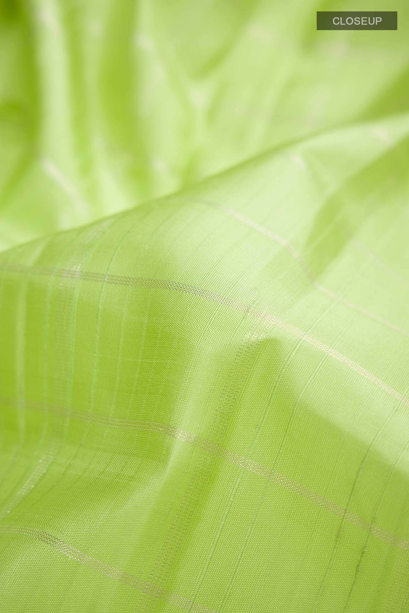 Green Kanchipuram Silk Saree