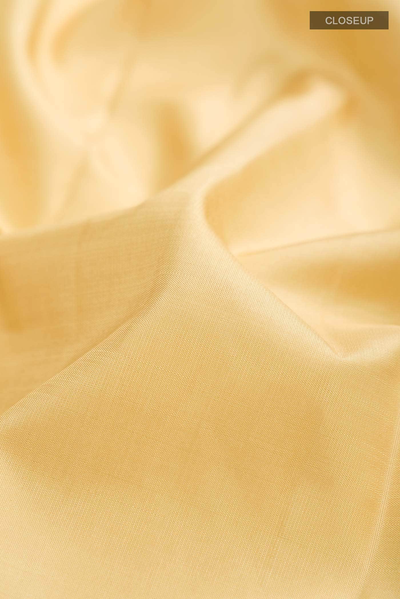 Cream Kanchipuram Silk Saree