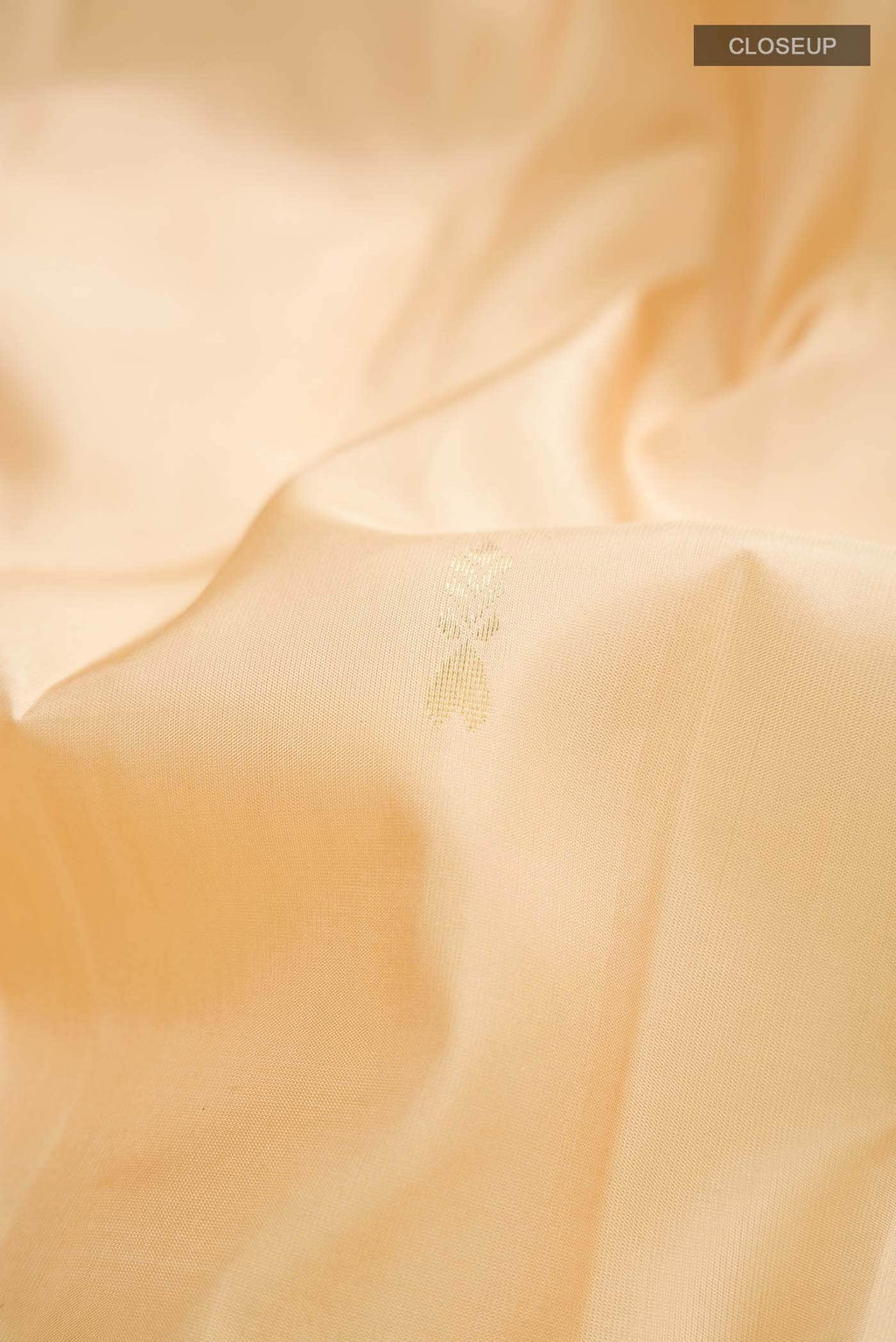 Beige Kanchipuram Silk Saree