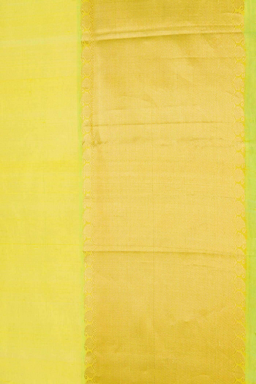 Parrot Green Dual Tone Silk Cotton Saree