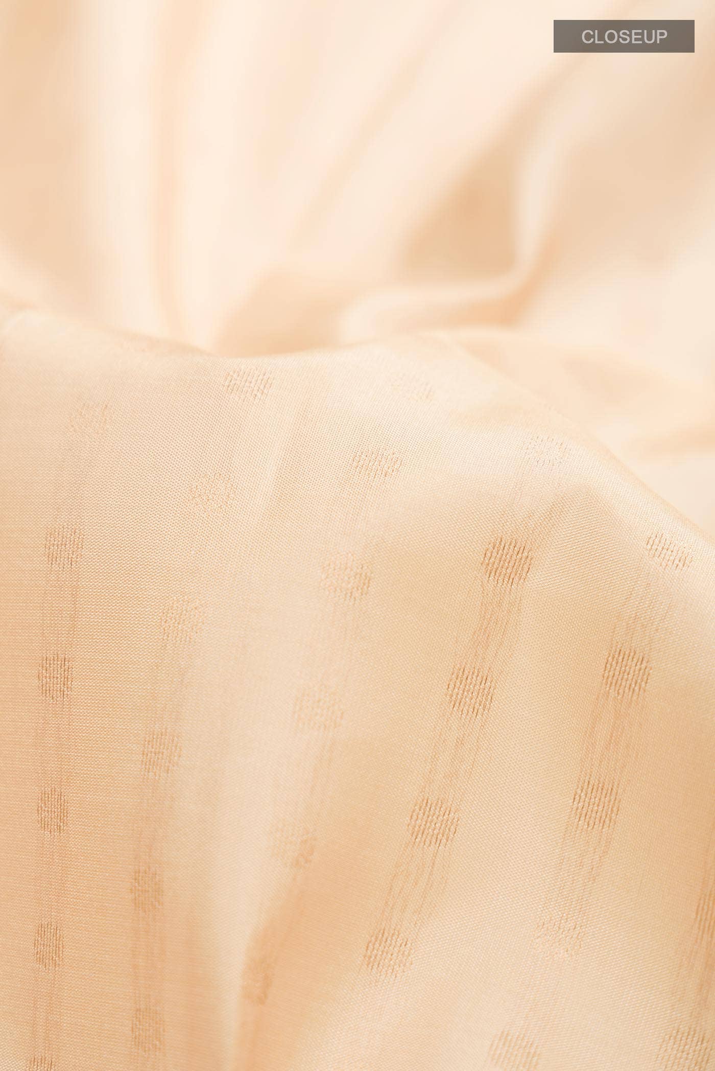 Beige Kanchipuram Silk Saree