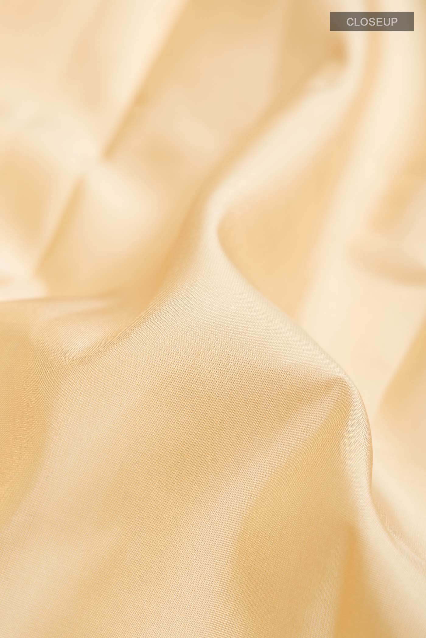 Beige Kanchipuram Silk Saree