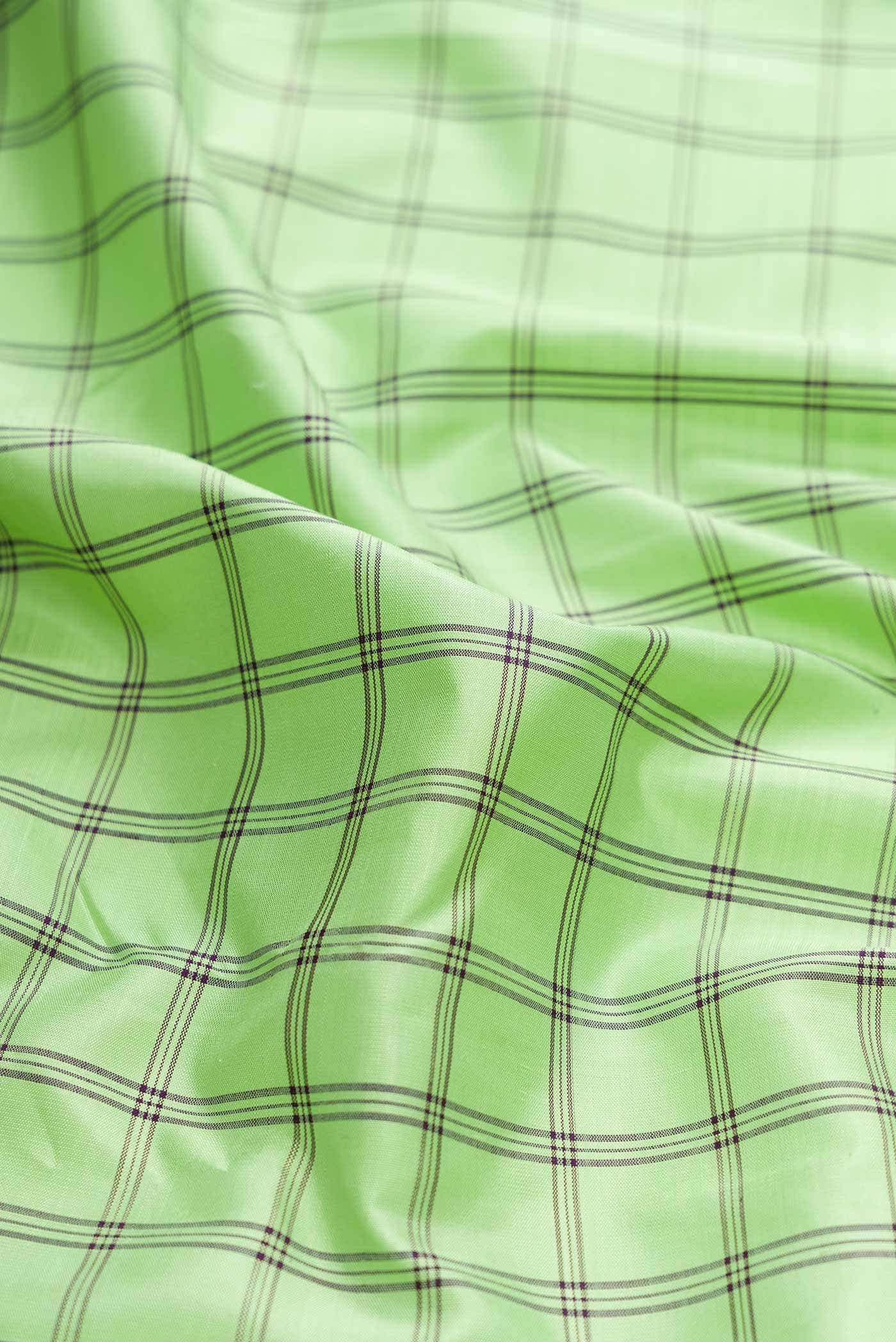 Pure Silk Pure Zari Parrot Green Dual Tone Kanchipuram Saree