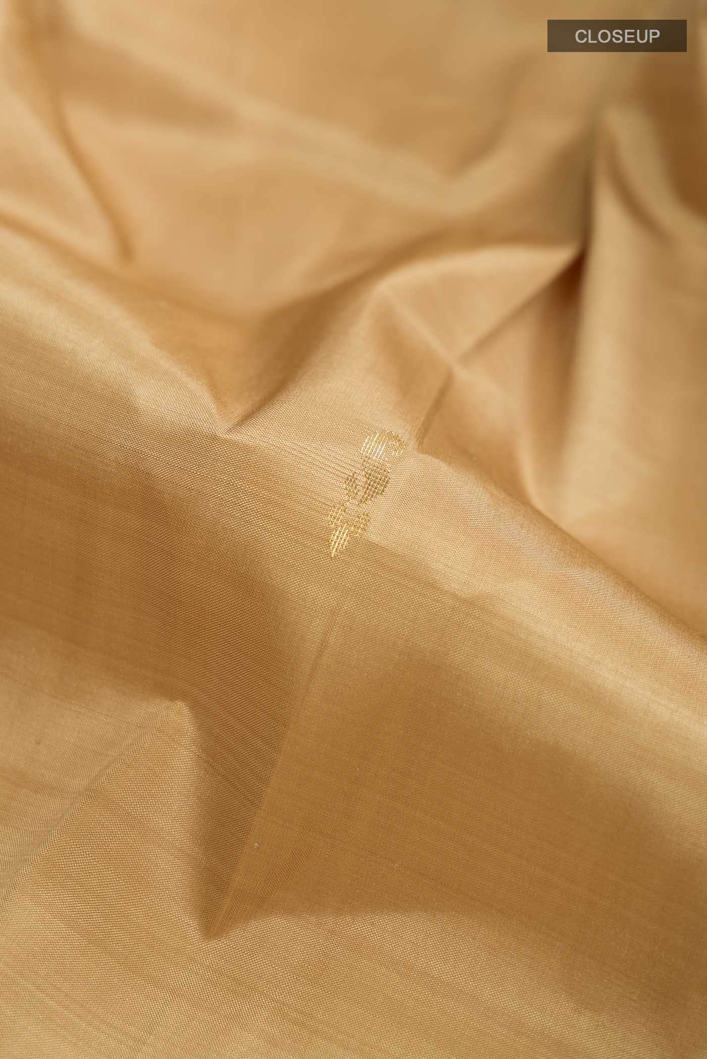 Beige Kanchipuram Silk Saree