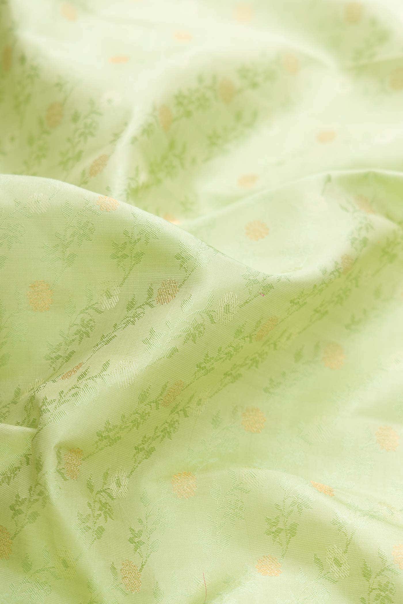 Pista Green Dual Tone Kanchipuram Silk Saree
