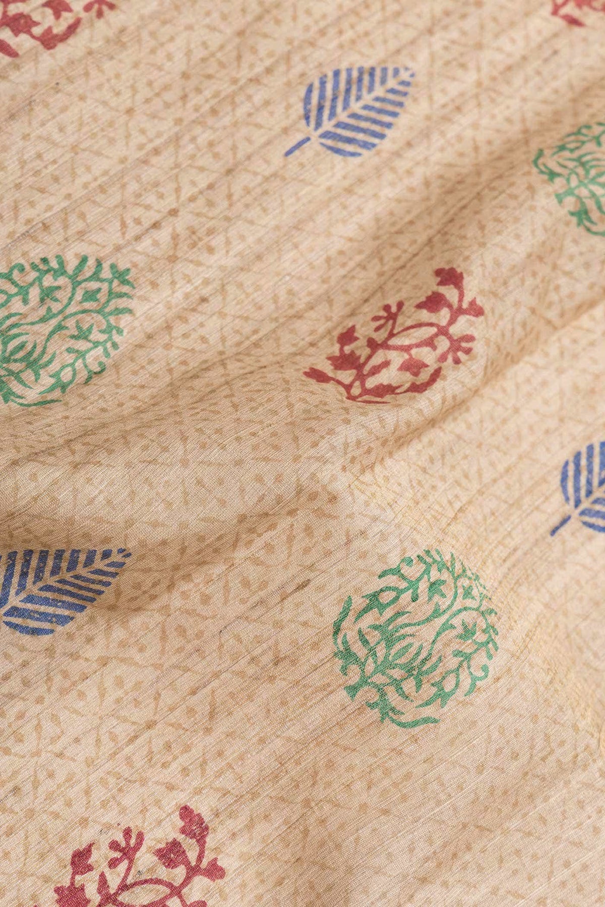 Beige Tussar Saree