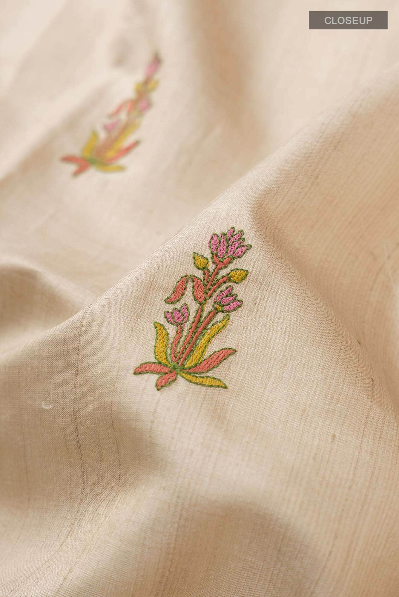 Beige Bhagalpuri Tussar Silk Saree