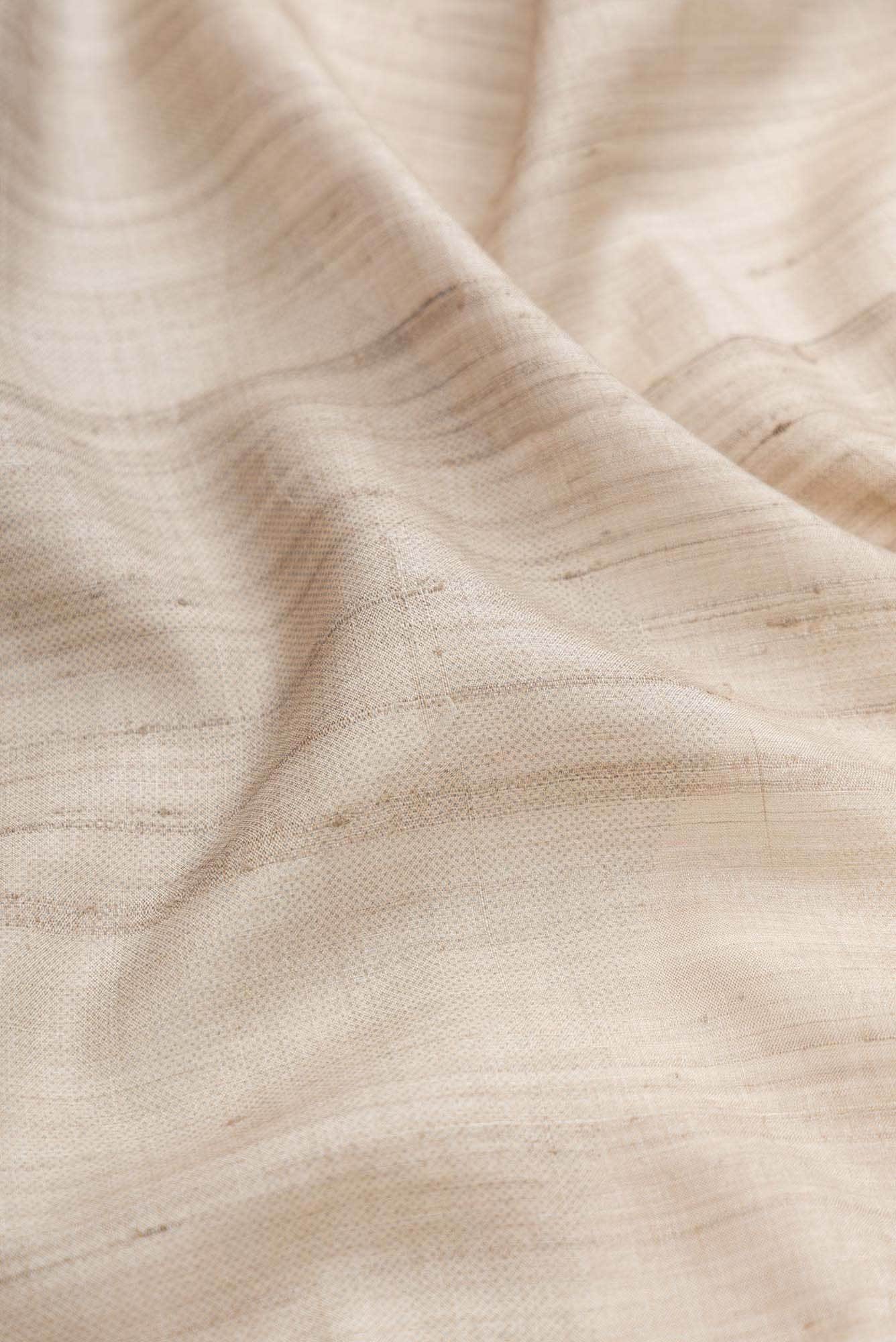 Beige Dual Tone Tussar Silk Saree