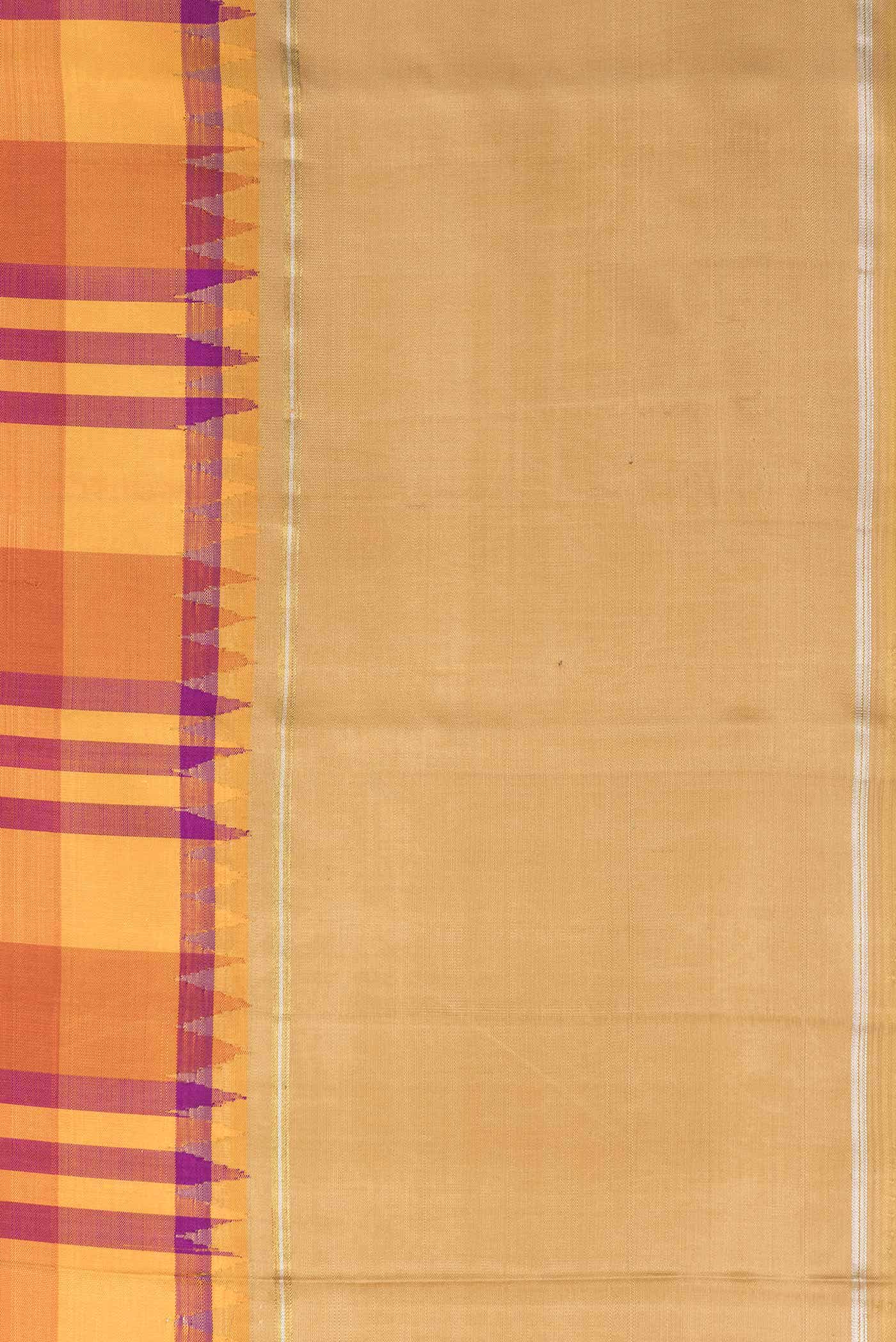 Pure Silk Pure Zari Multi Kanchipuram Saree