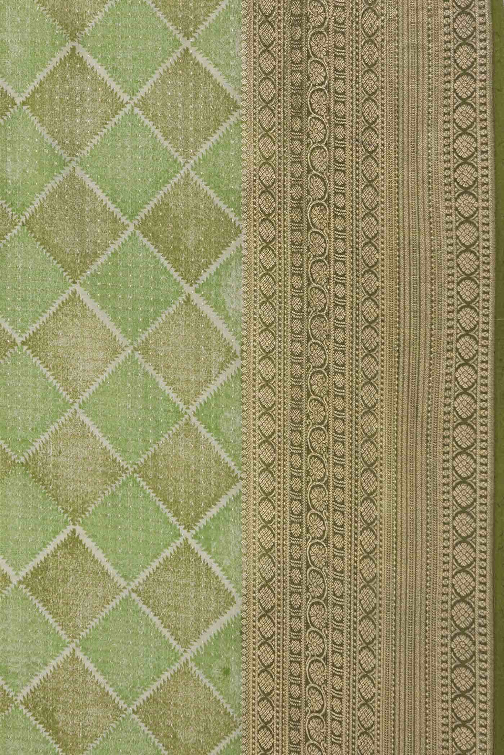 Green Dual Tone Banarasi Georgette Saree