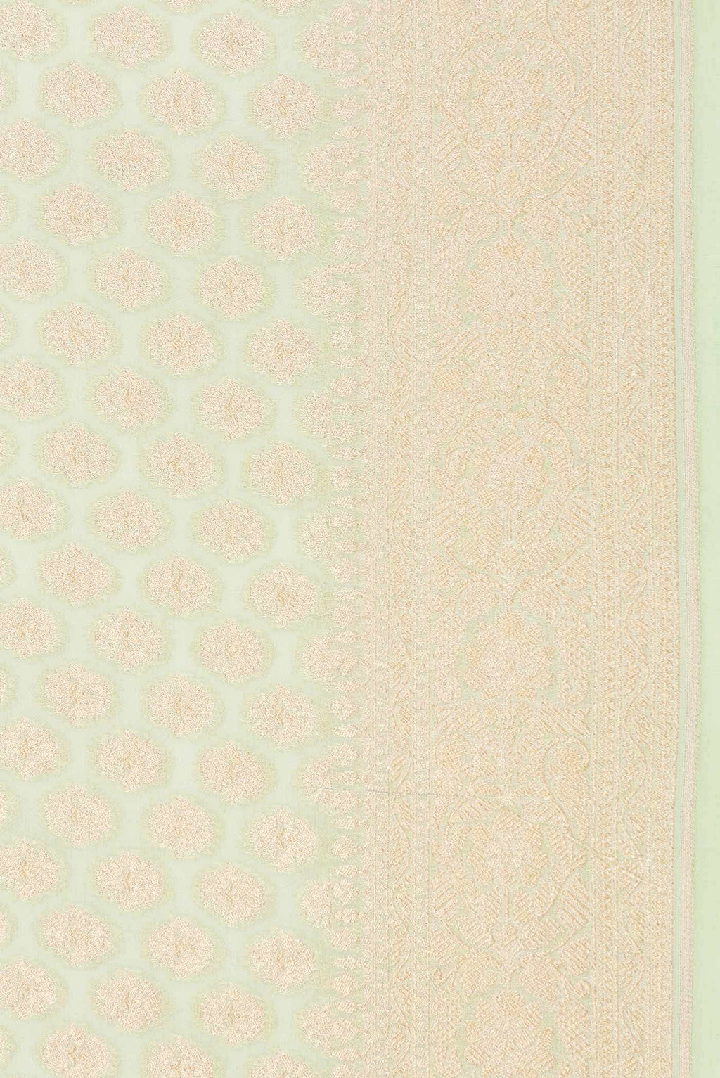 Light Green Dual Tone Banarasi Georgette Saree