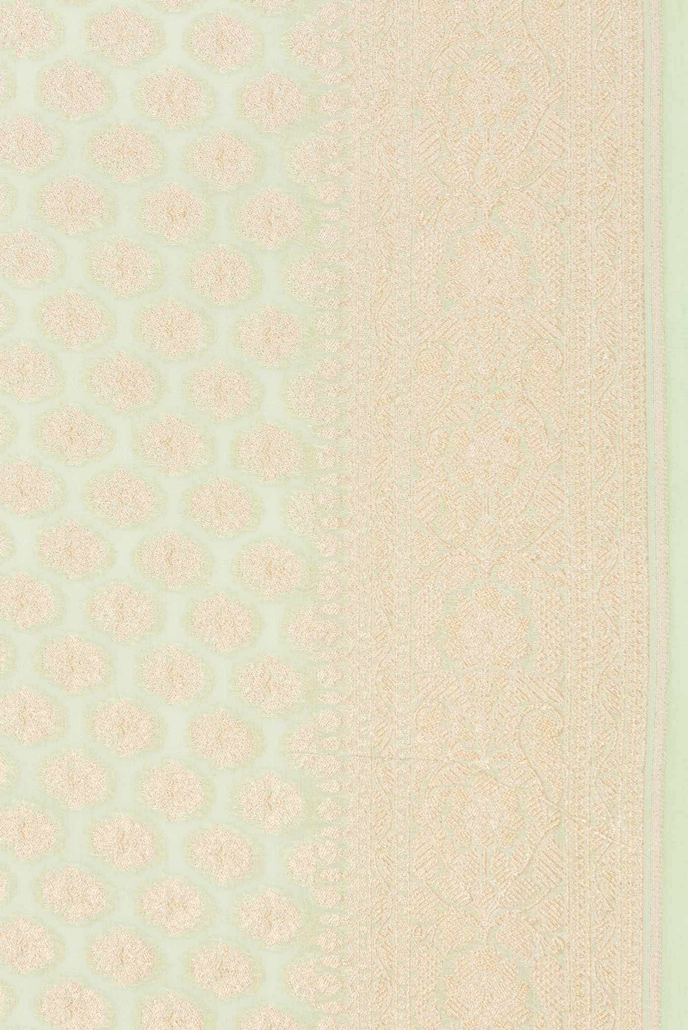 Light Green Dual Tone Banarasi Georgette Saree