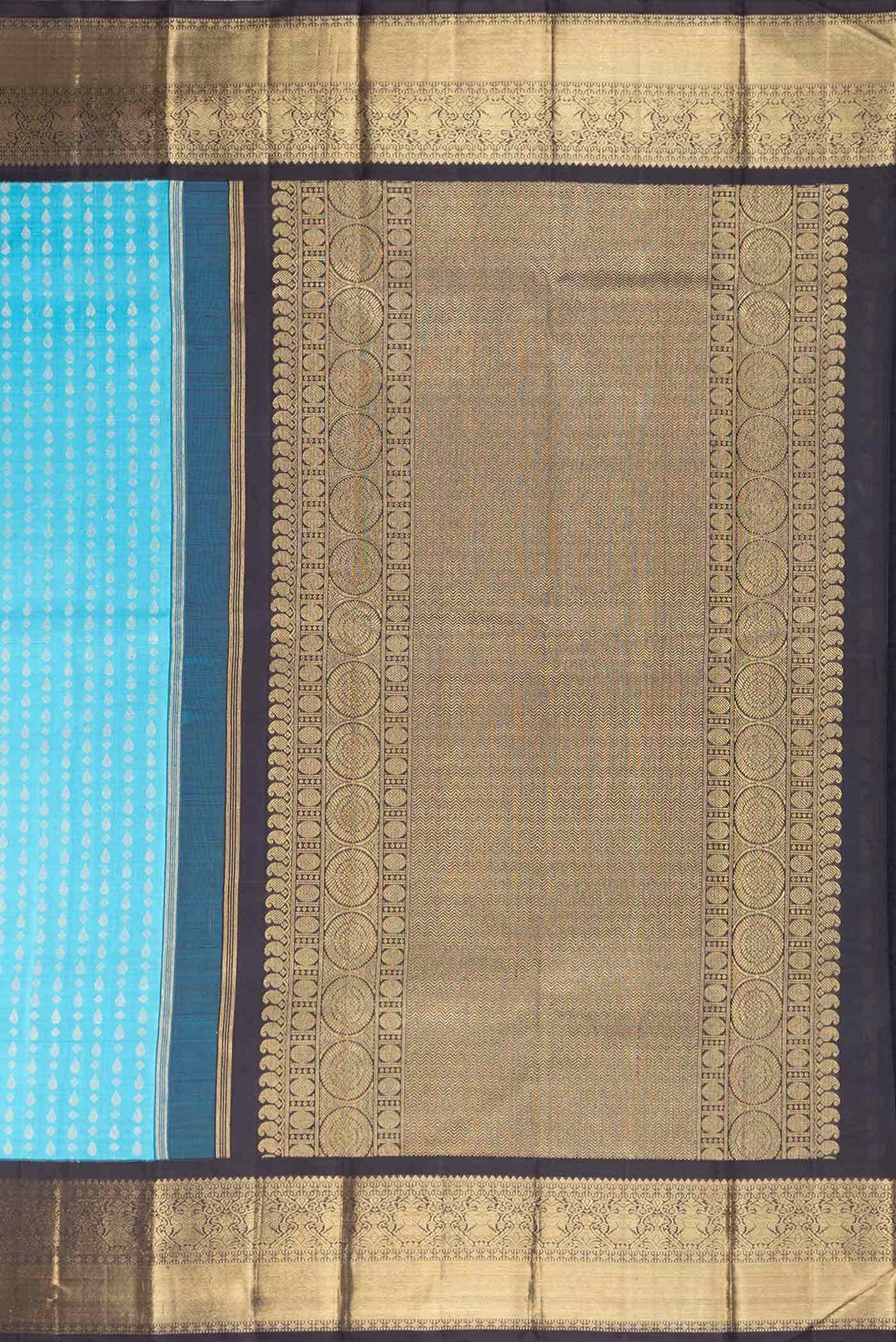 Pure Silk Pure Zari Sky Blue Dual Tone Kanchipuram Saree