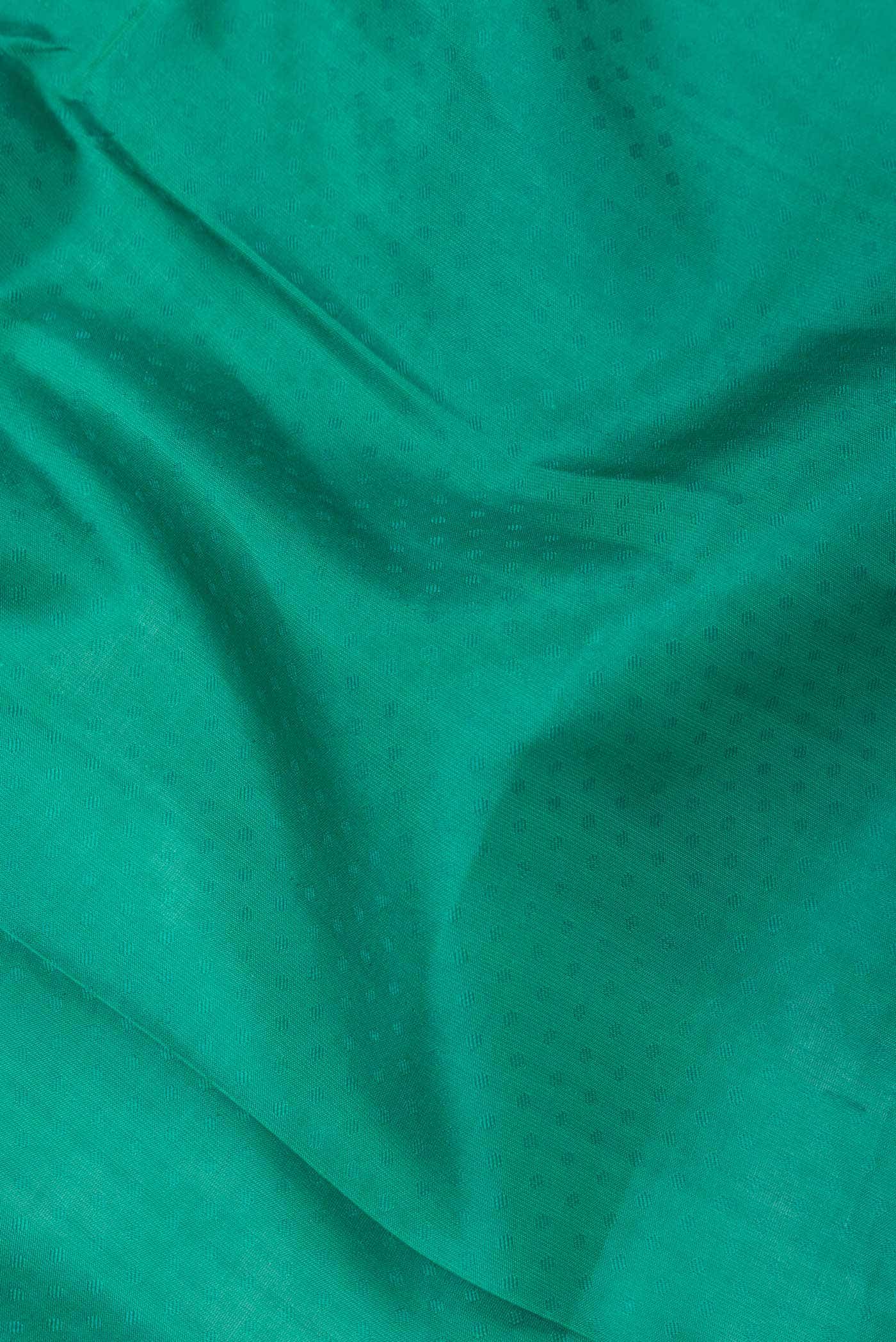 Green Dual Tone Kanchipuram Silk Saree