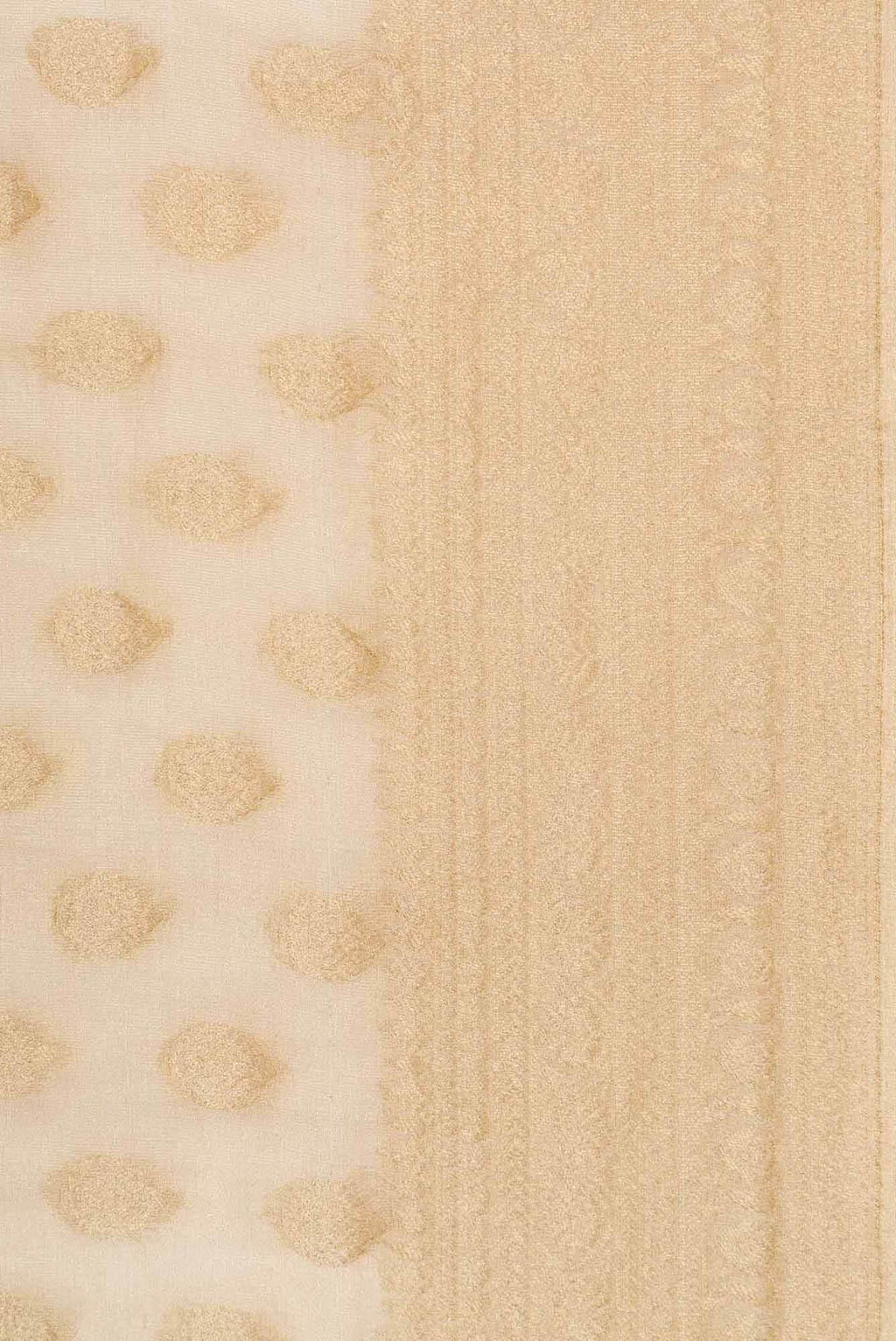 Beige Dual Tone Banarasi Georgette Saree