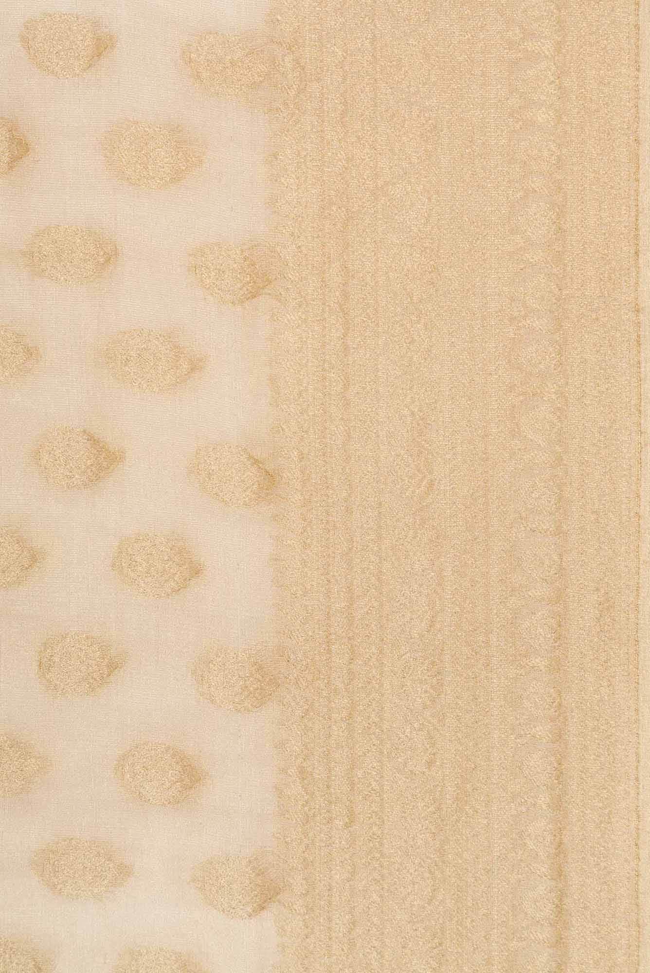 Beige Dual Tone Banarasi Georgette Saree