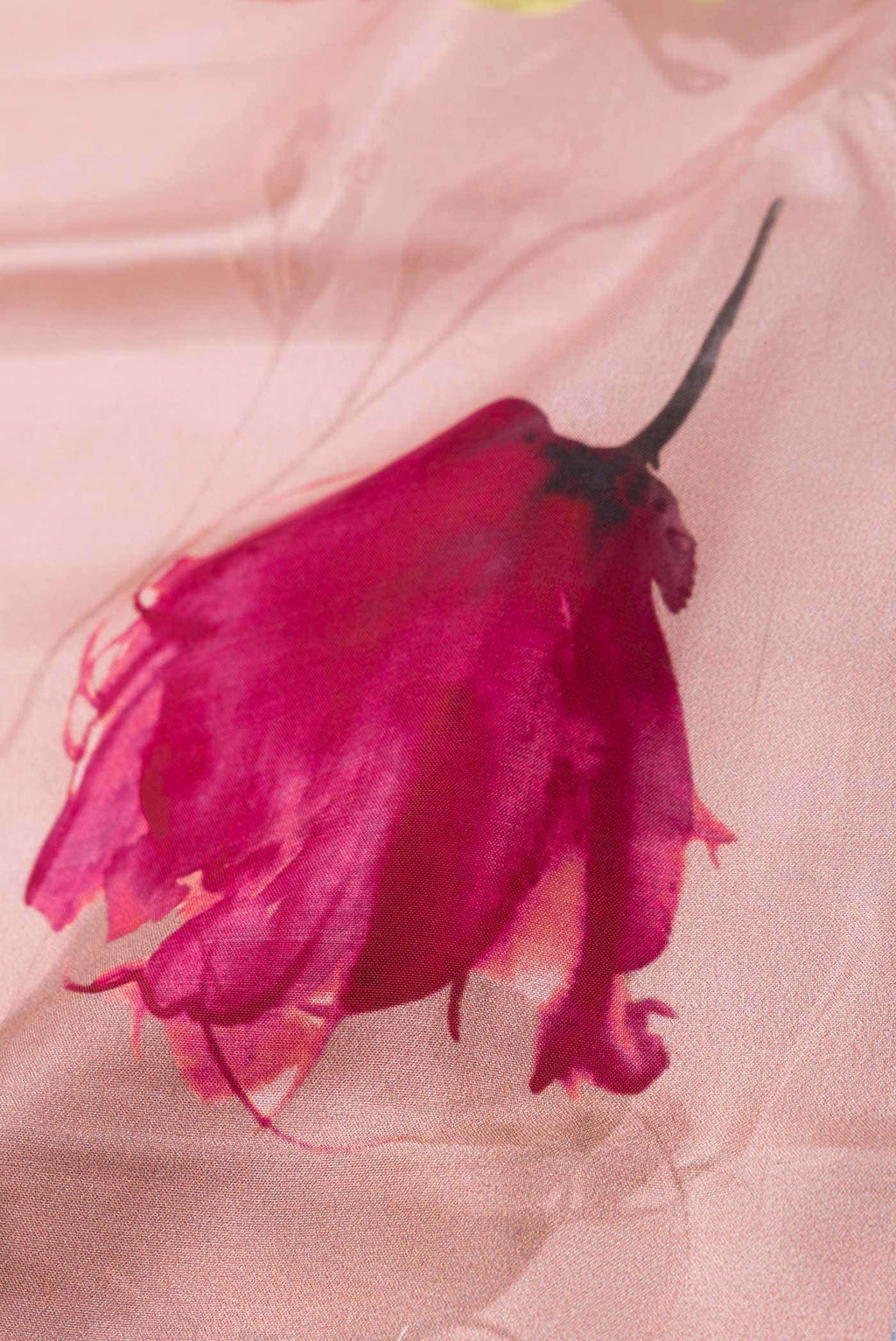 Pink Kanchipuram Silk Saree