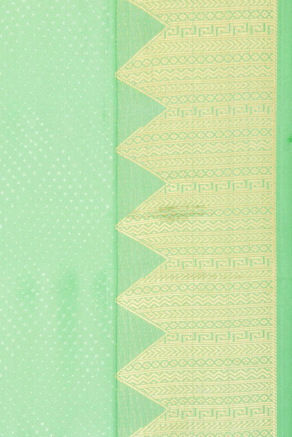 Parrot Green Dual Tone Kanchipuram Silk Saree