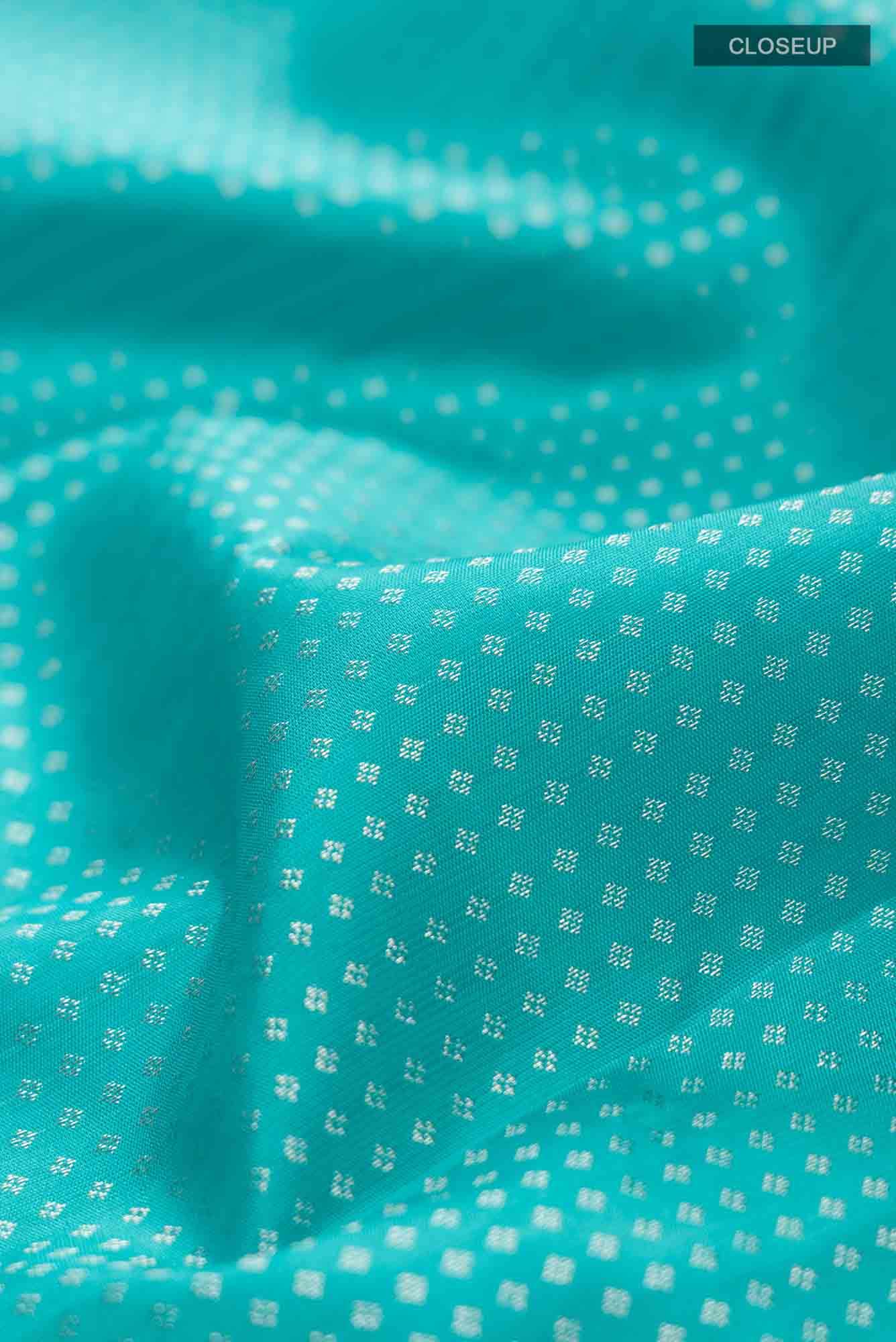 Blue Kanchipuram Silk Saree