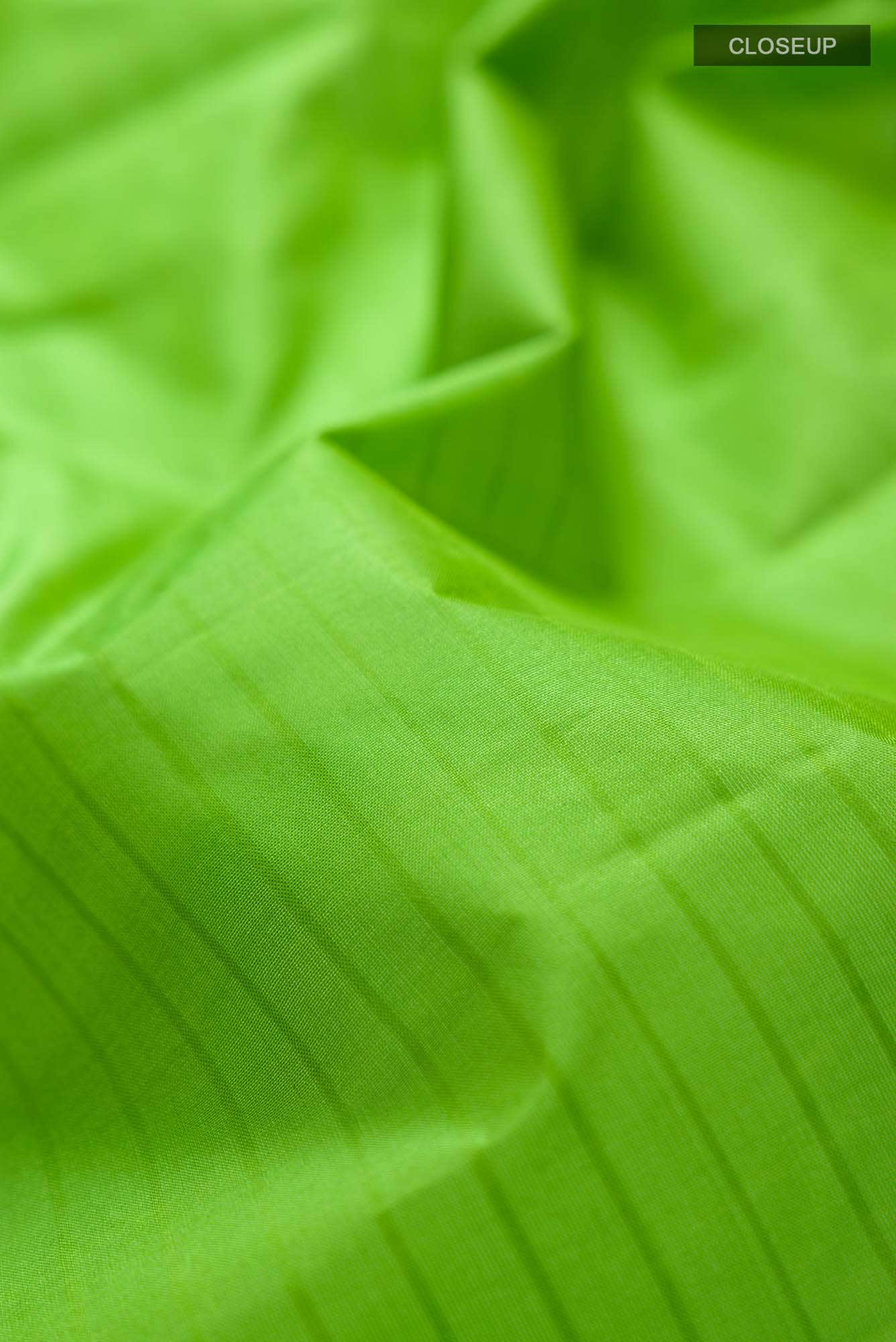 Green Dual Tone Kanchipuram Silk Saree