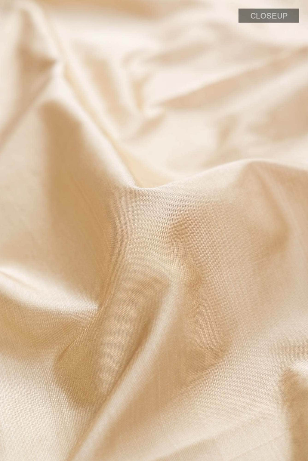 Beige Bangalore Silk Saree